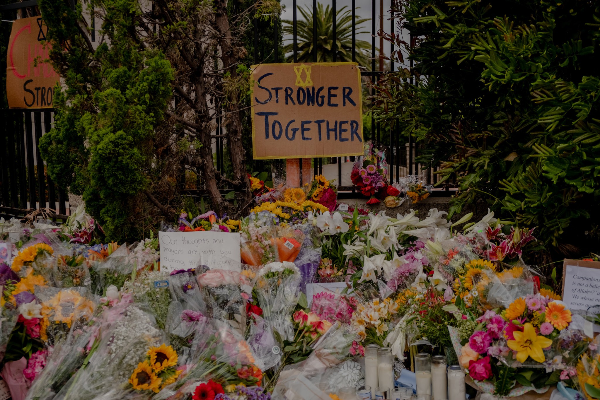 Credit: Hilary Swift for The New York Times