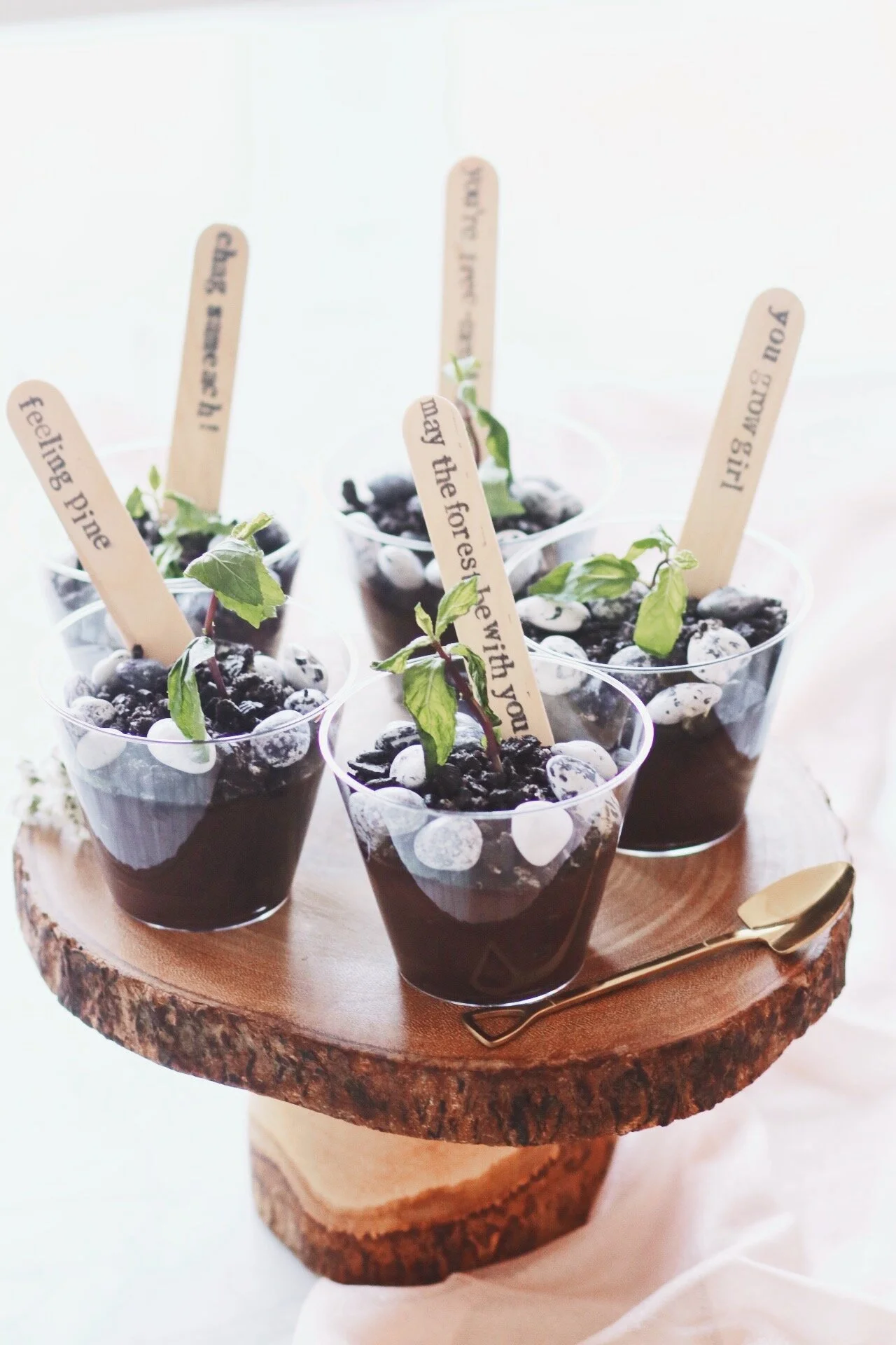 Punny Tree Sapling Dirt Pudding