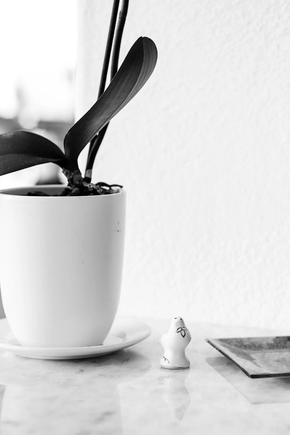 200515_Vazquez-2712_B&W copy.jpg