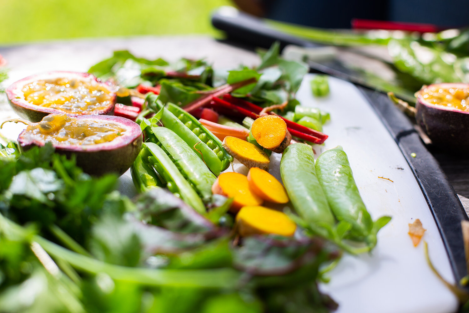 200302_OlivewoodGardens-0043 copy.jpg