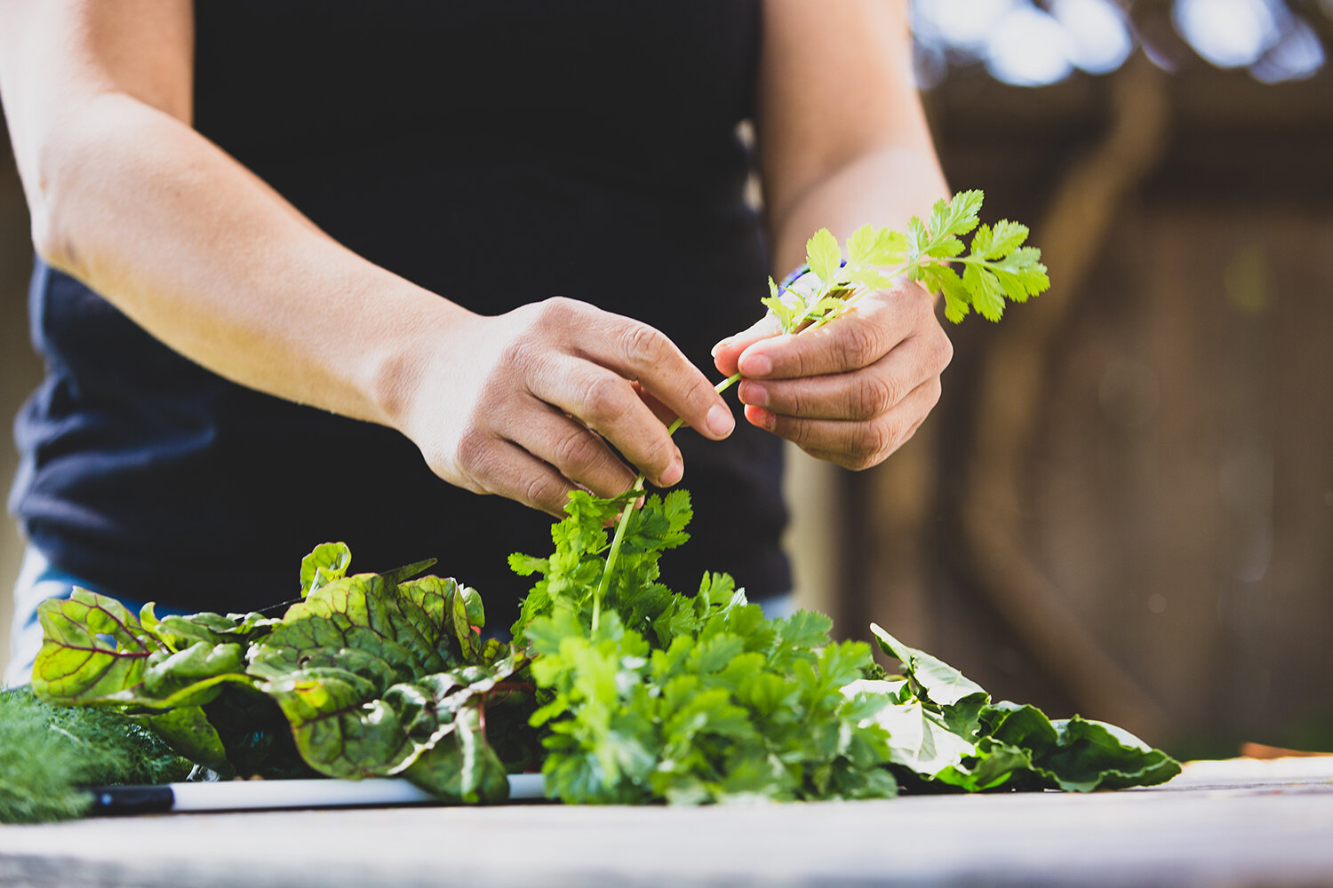 200302_OlivewoodGardens-9990 copy.jpg