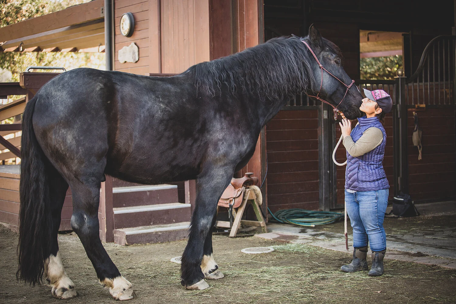 20191212_TERi-9001 copy.jpg