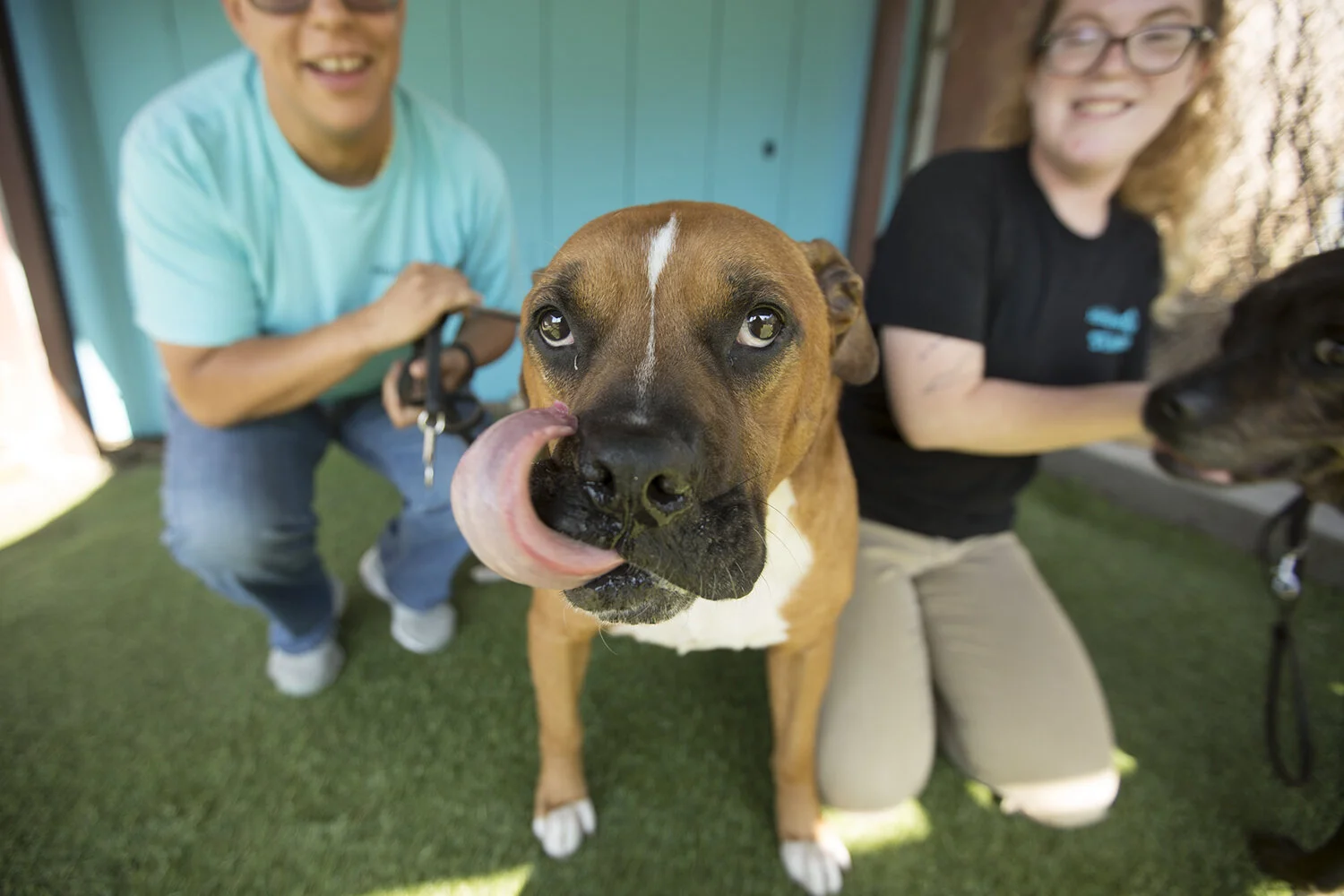 070318_HumaneSociety_(ST)-4 copy.jpg