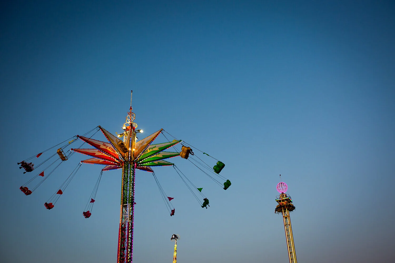 060118_SDFair_ST-2 copy.jpg