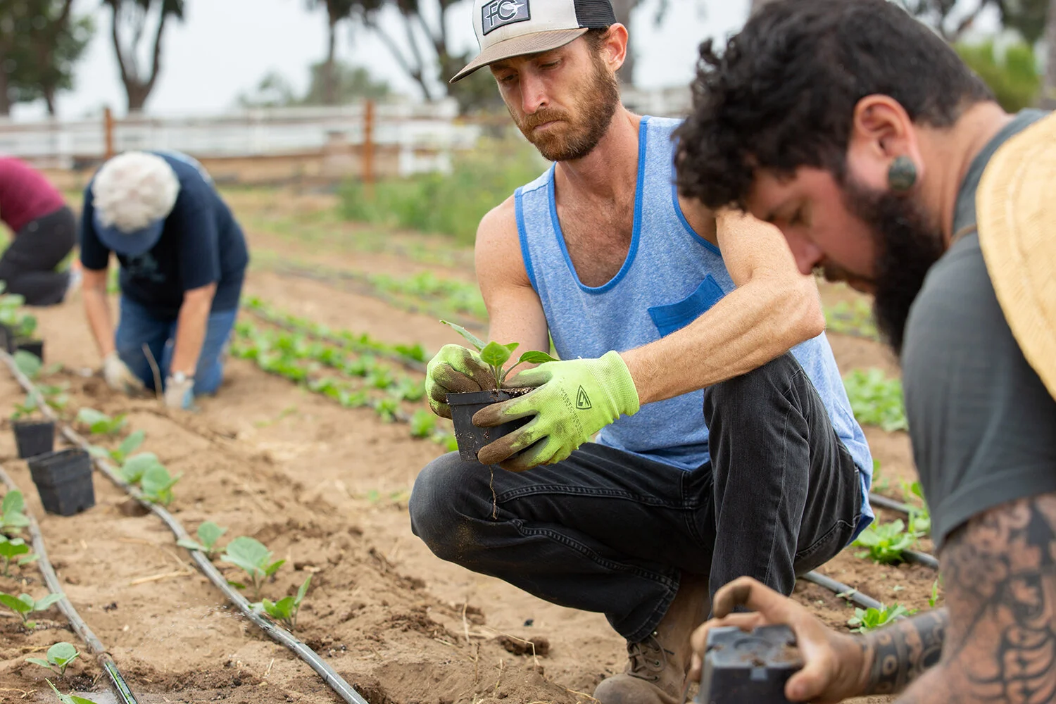 071018_ENC Coastal Roots Farm_ST-6 copy.jpg