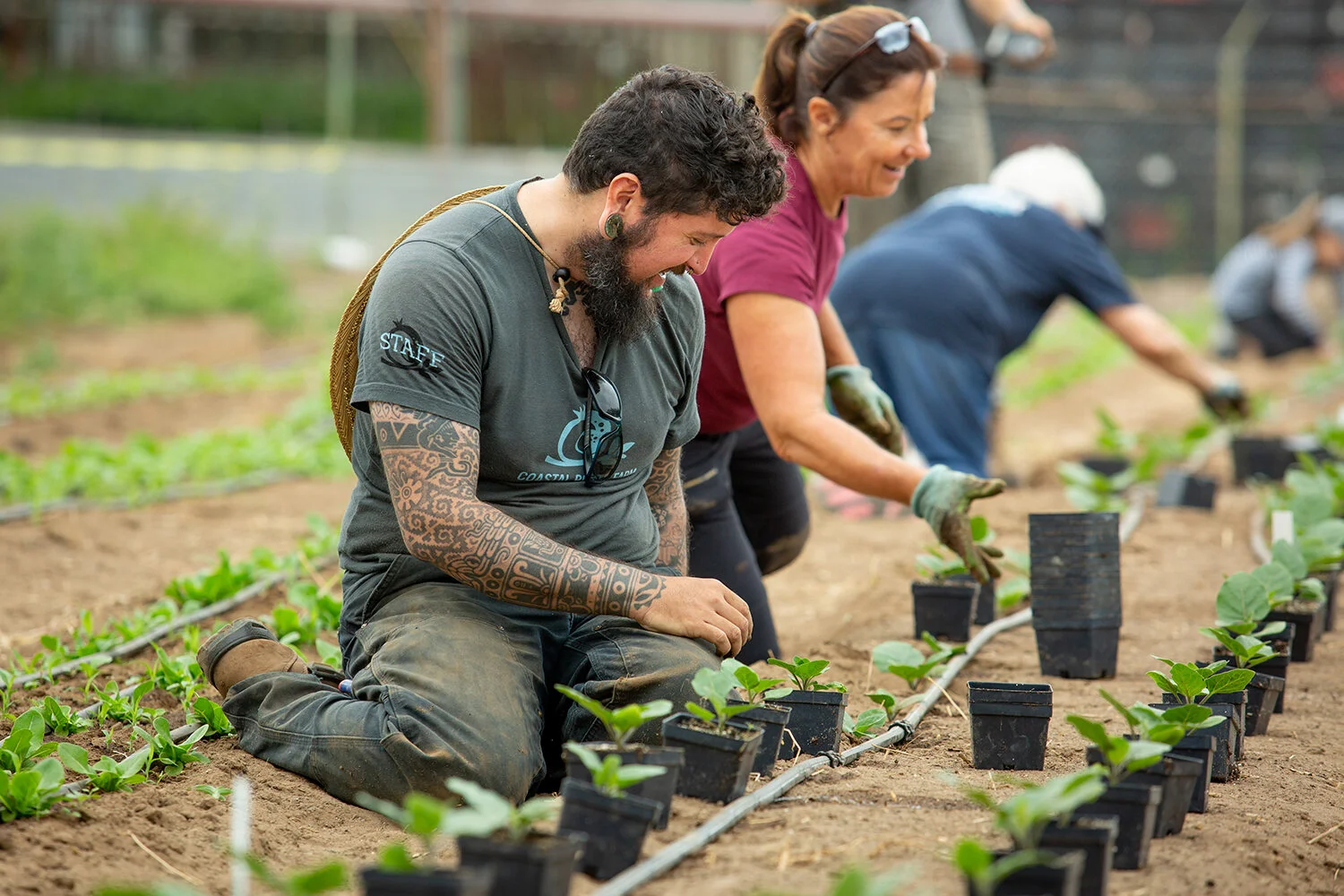 071018_ENC Coastal Roots Farm_ST-11 copy.jpg
