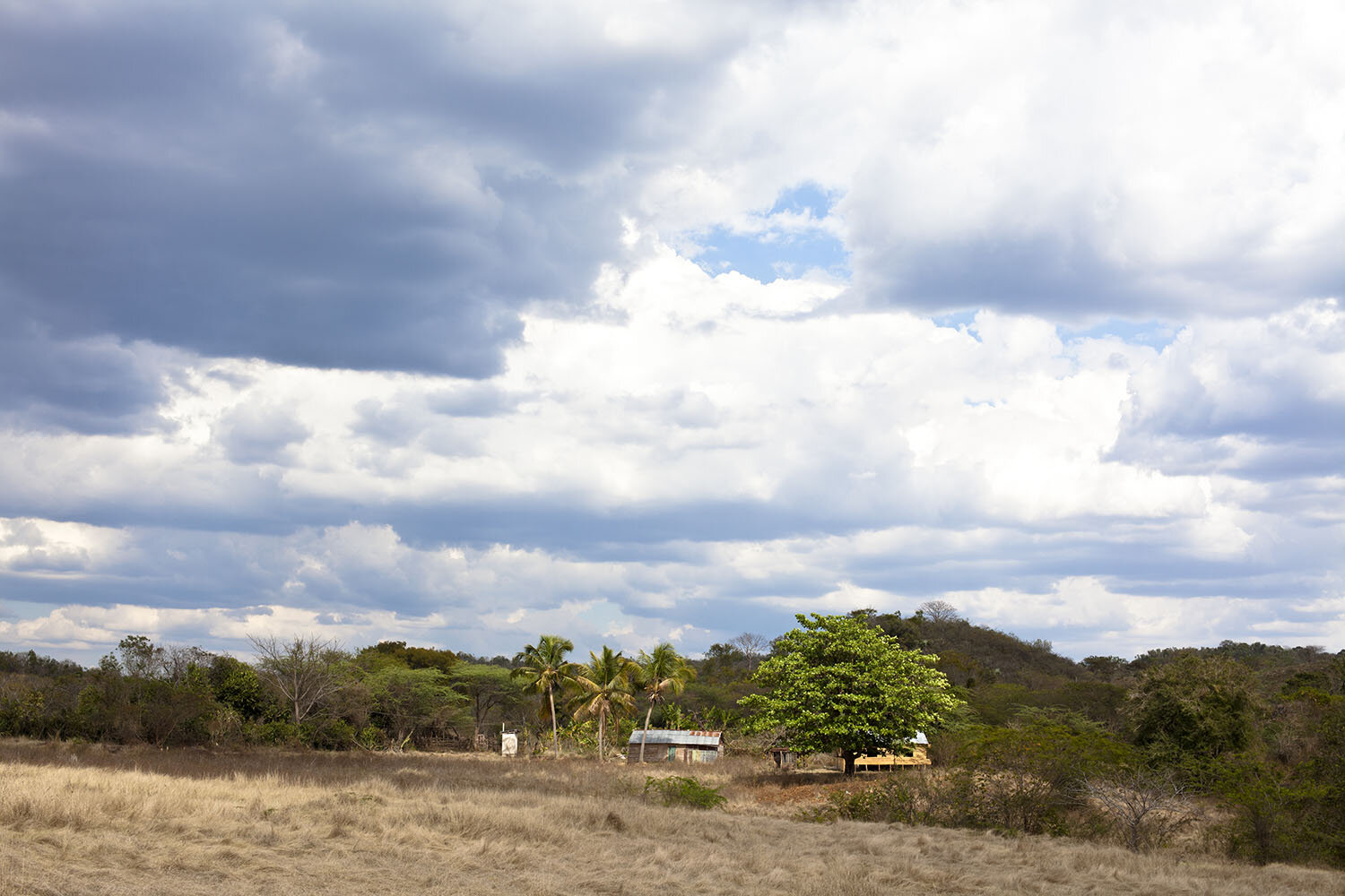 BánicaDay3_030711_SS_067 copy.jpg