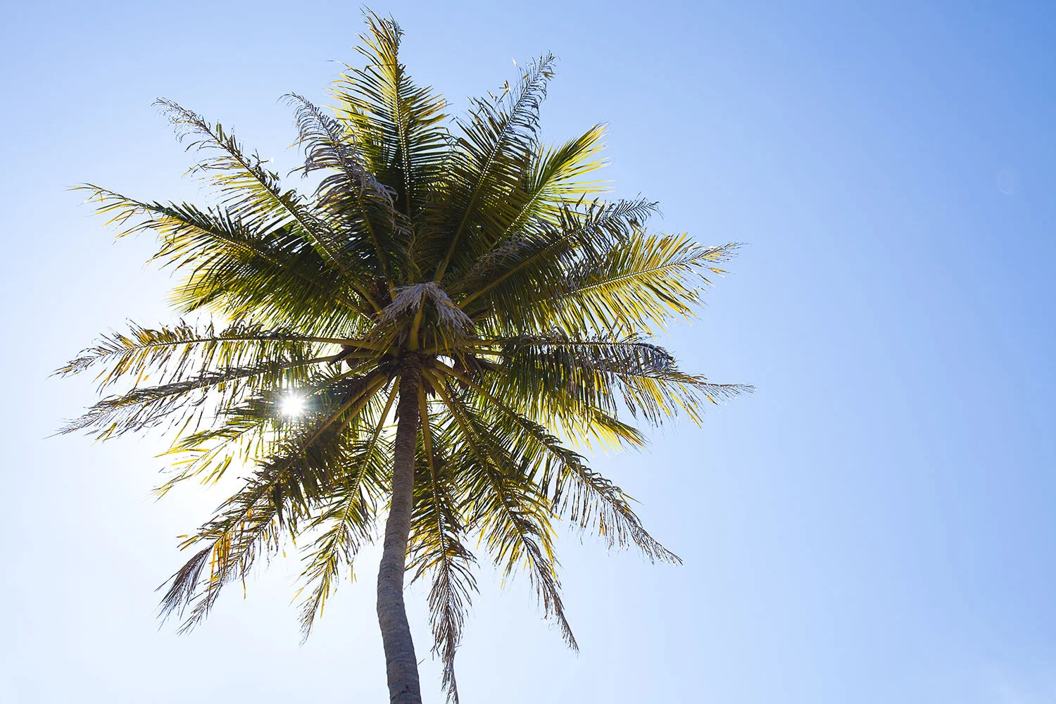 BánicaDay7_031111_SS_024 copy.jpg