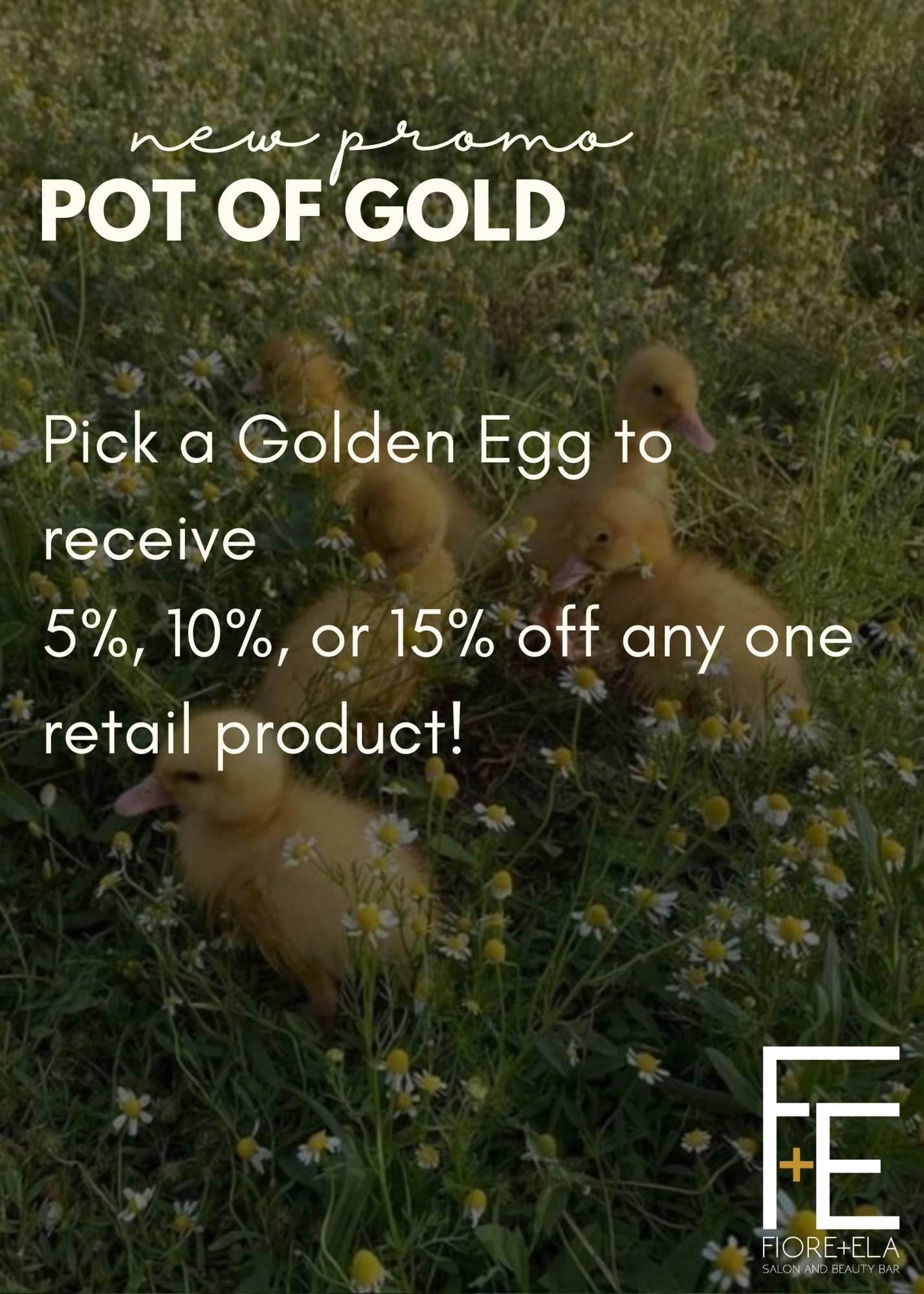 FE PROMOS POST - 2.png