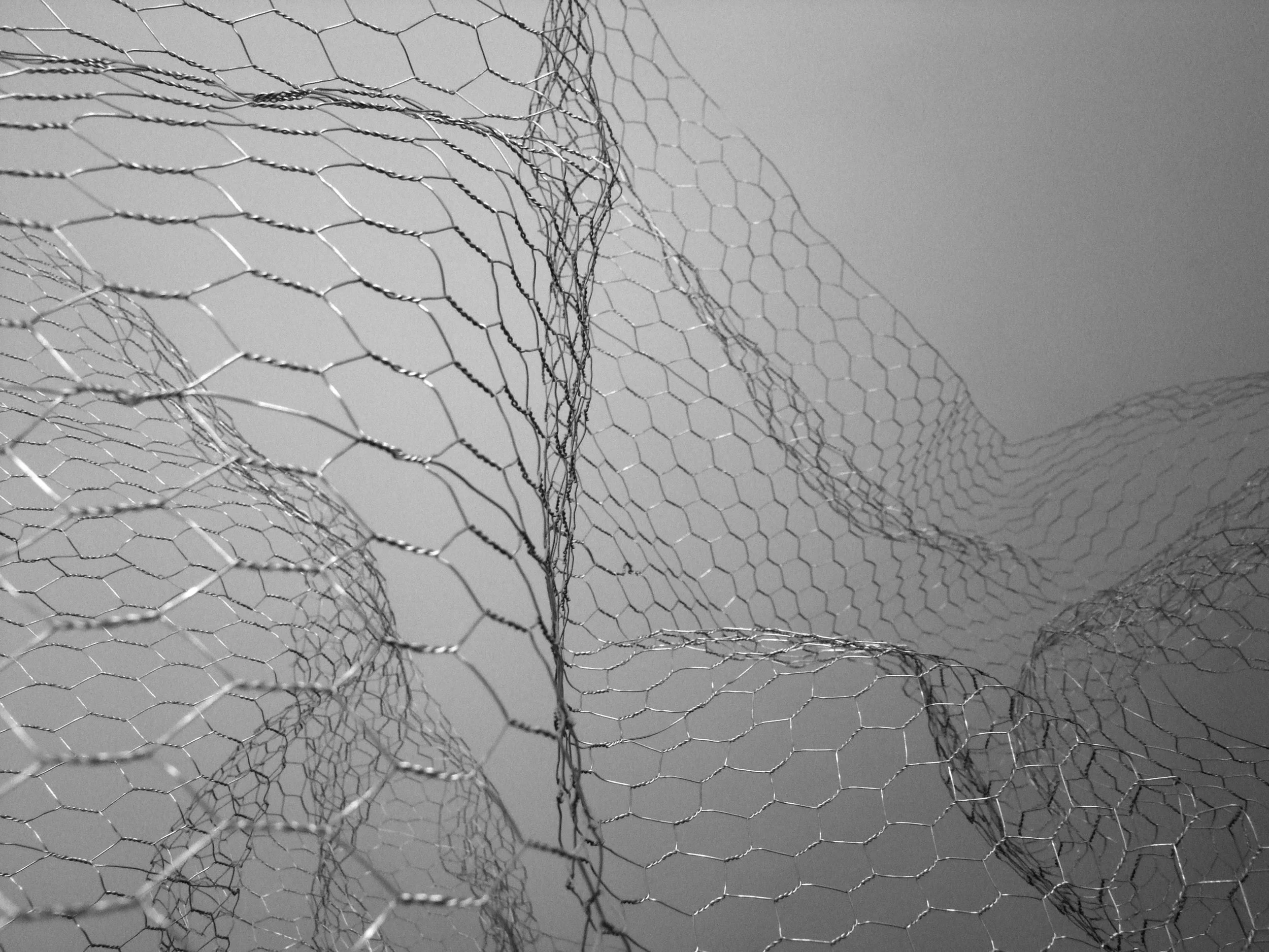 wire3.jpg