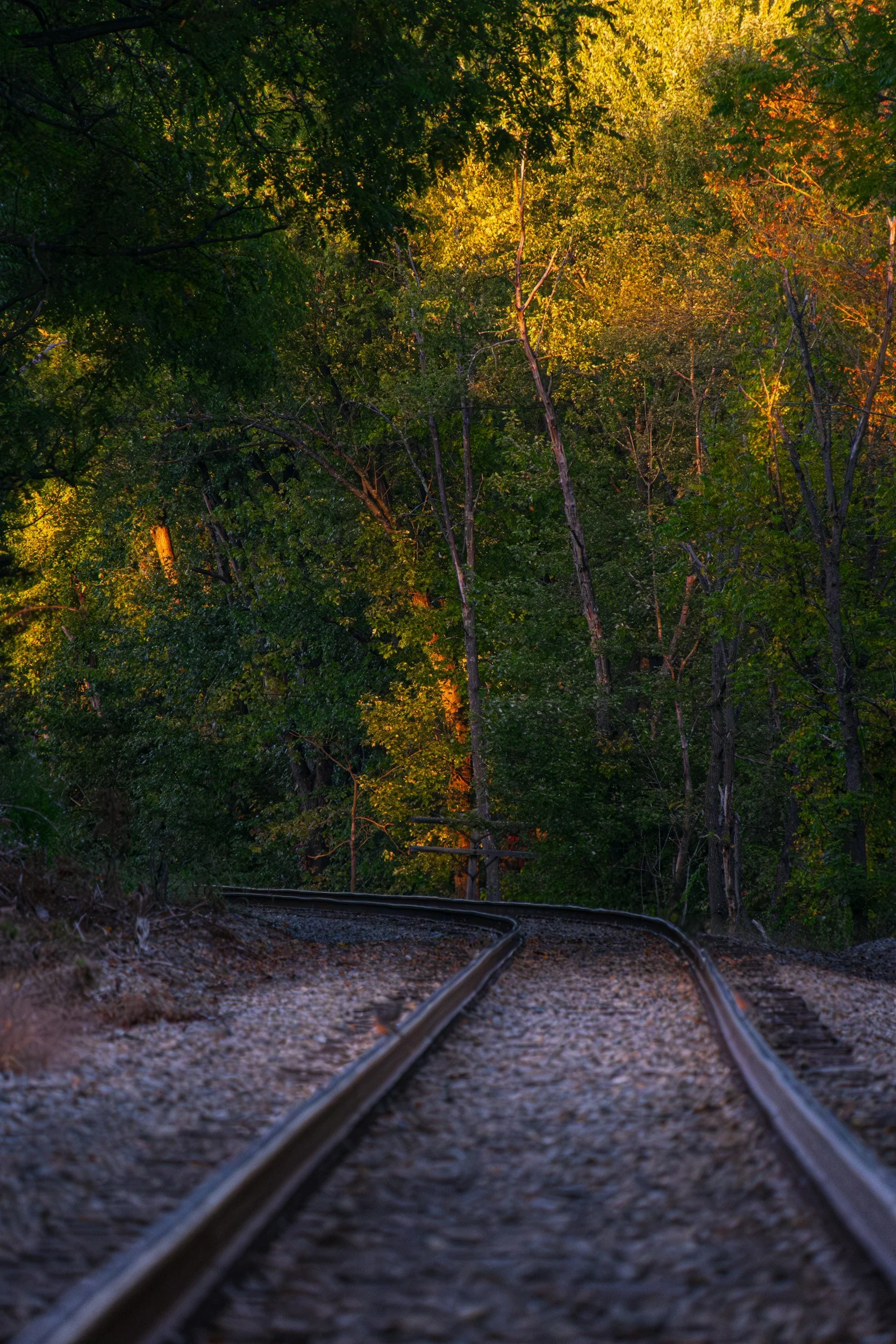 Rails &amp; Trails of New England