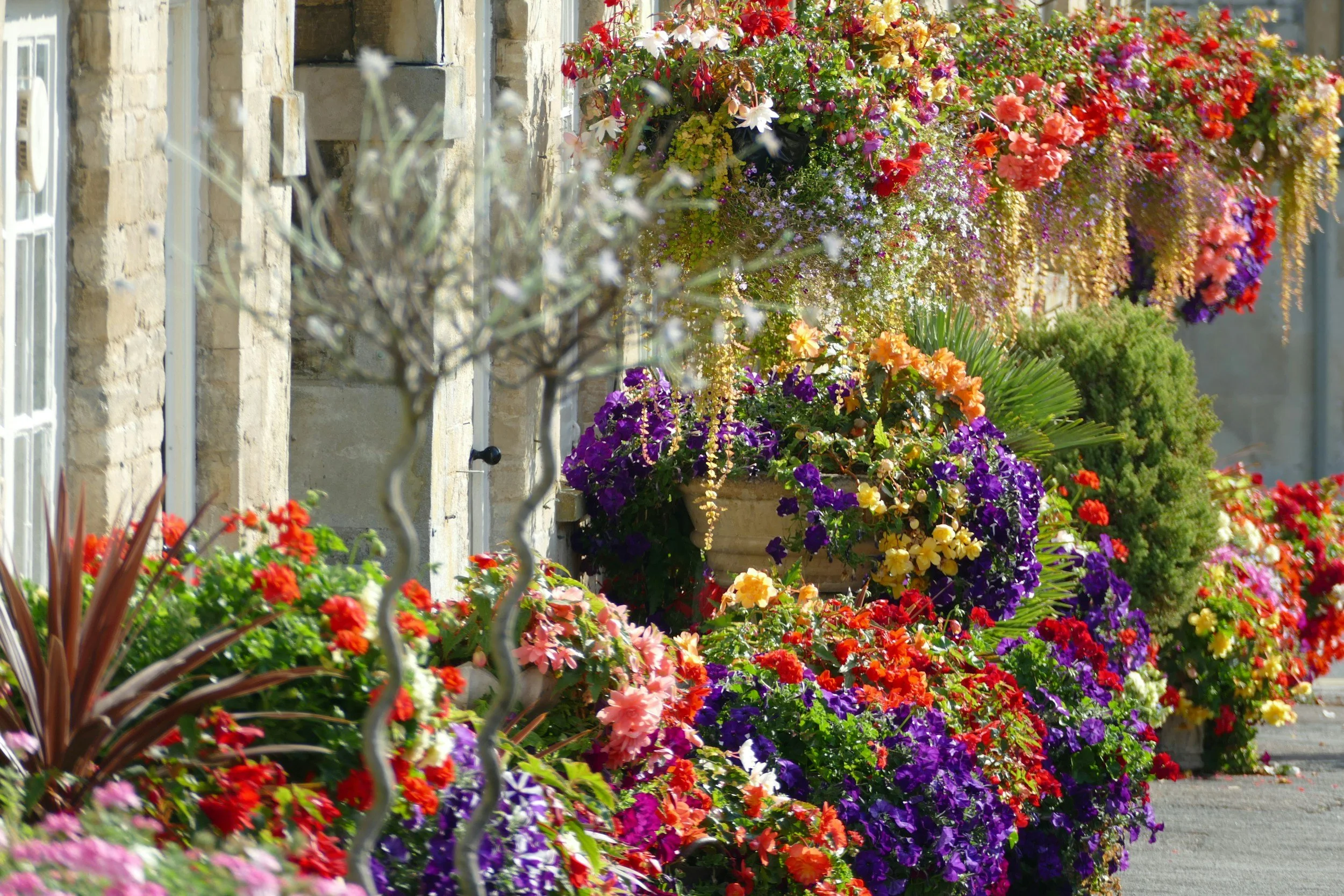 Philadelphia Flowers and more!