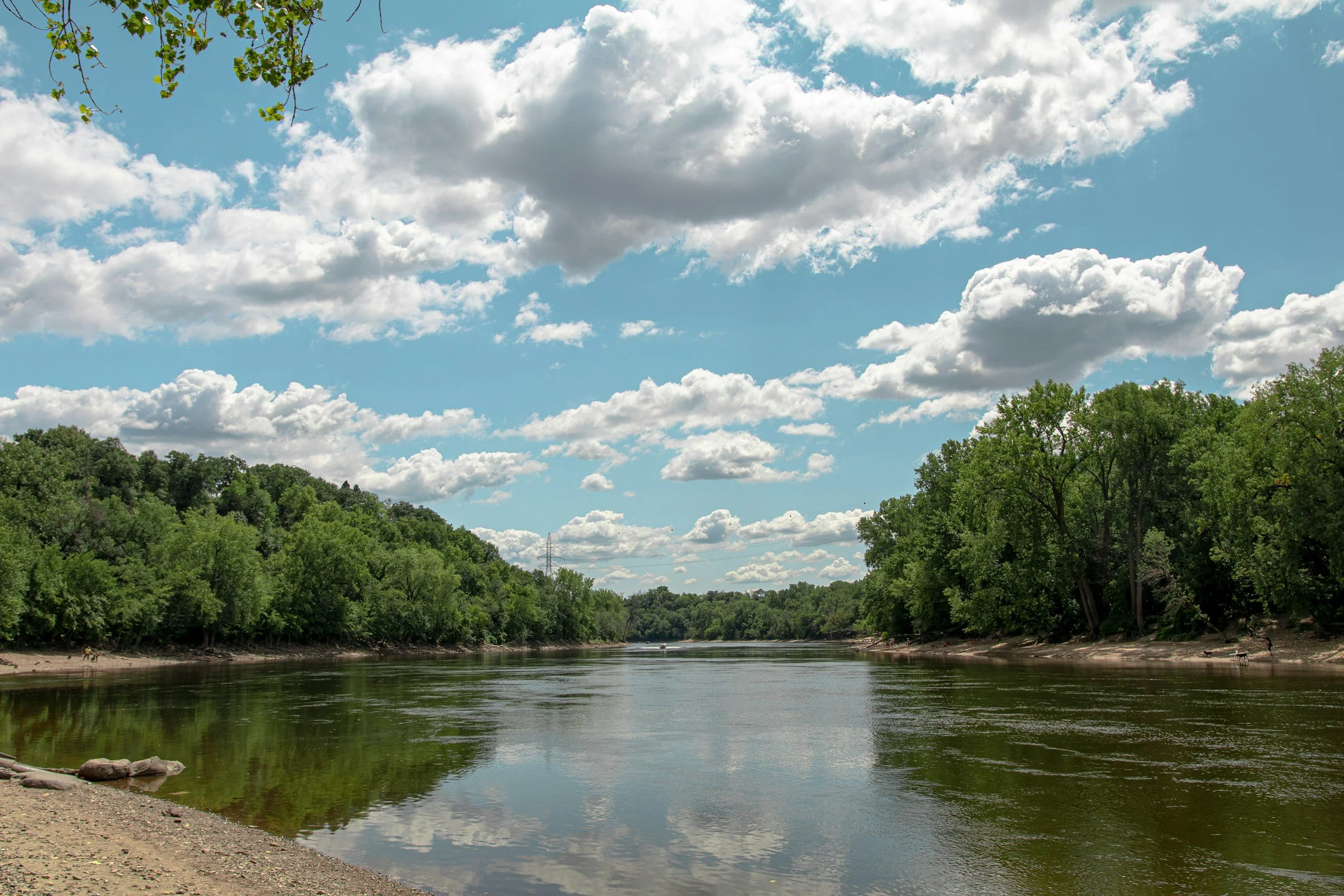 Mississippi Summer