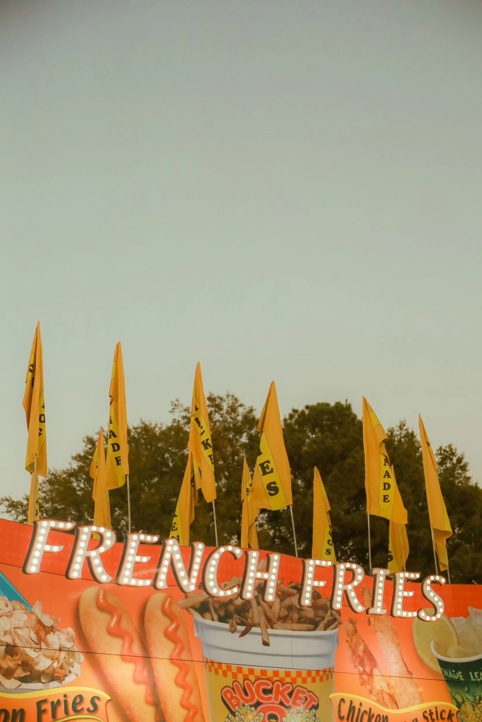 The Ohio State Fair