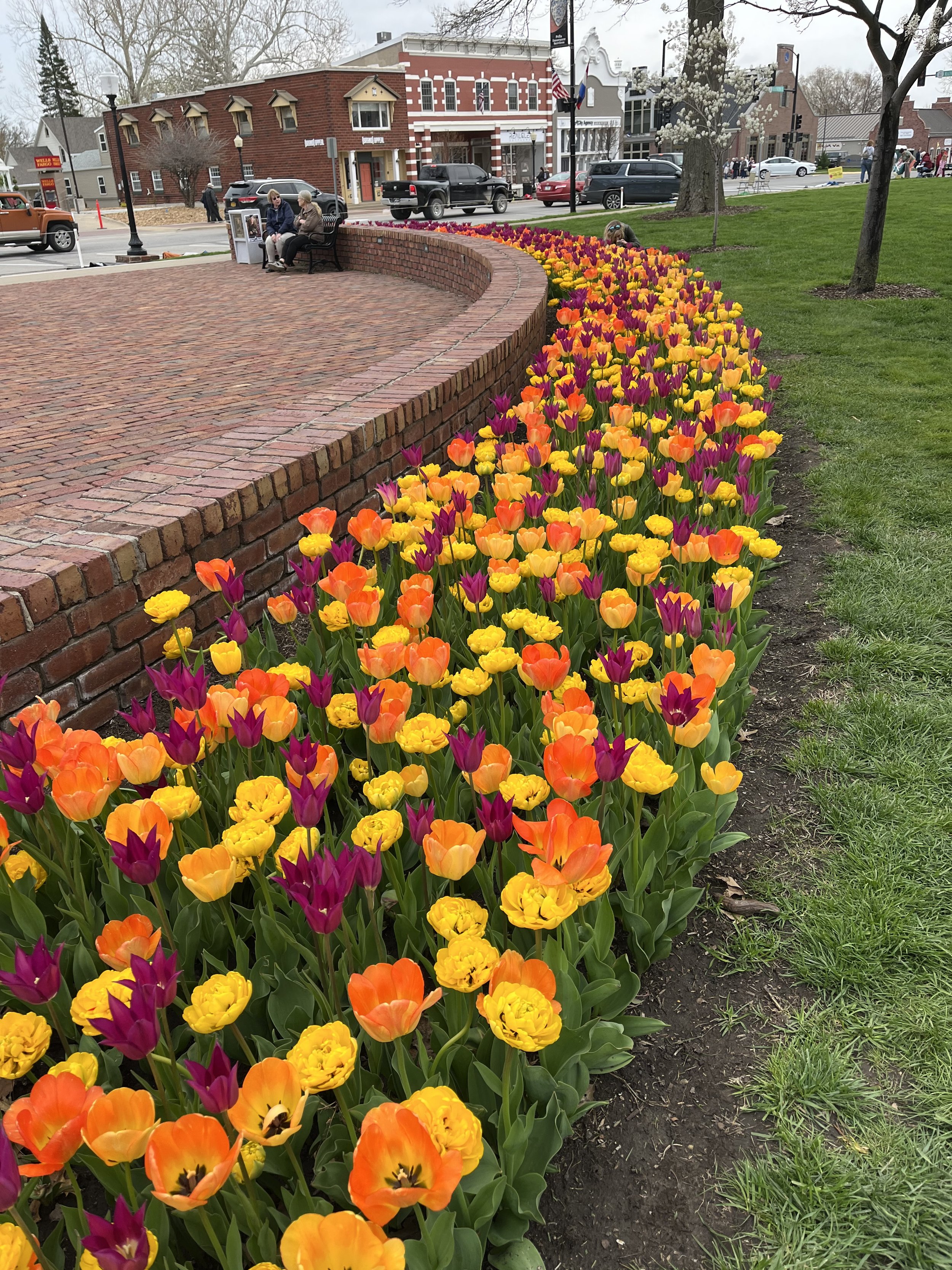 Where to See Thousands and Thousands of Tulips