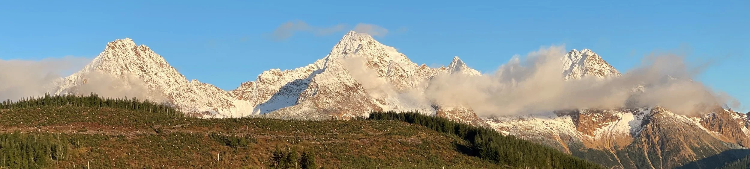 Services — Balance Point