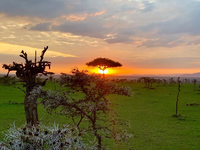 &quot;Africa &ndash; You can see a sunset and believe you have witnessed the Hand of God...&quot; - Jodi Picoult⠀⠀⠀⠀⠀⠀⠀⠀⠀
.⠀⠀⠀⠀⠀⠀⠀⠀⠀
. ⠀⠀⠀⠀⠀⠀⠀⠀⠀
#lifebeyondaids #careforaids #orphanprevention #everydayafrica #lifebeyondstigma #beyond #magicalkenya #i