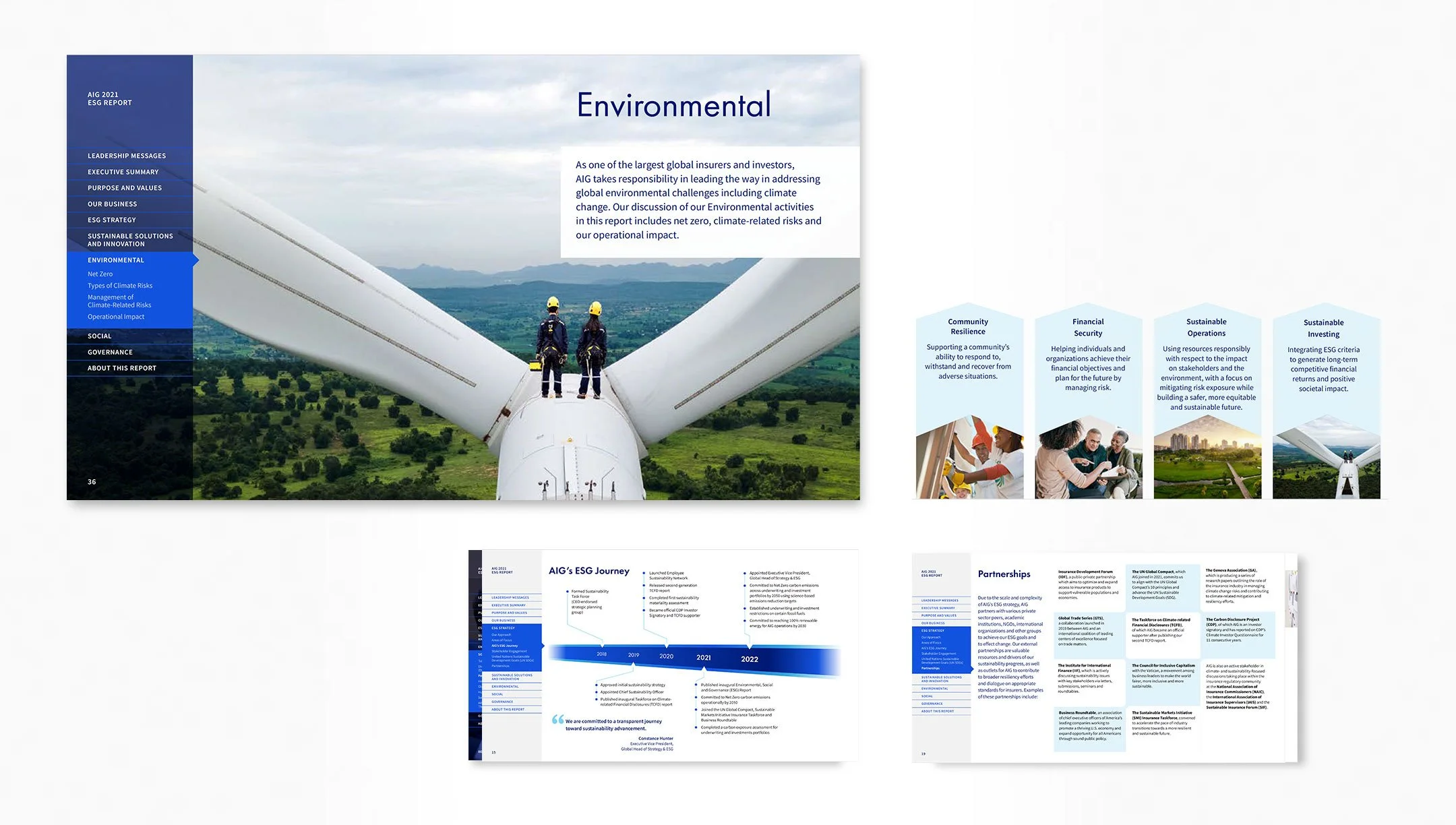 AIG_website11.jpg