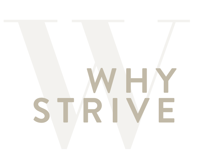 WHY STRIVE.png