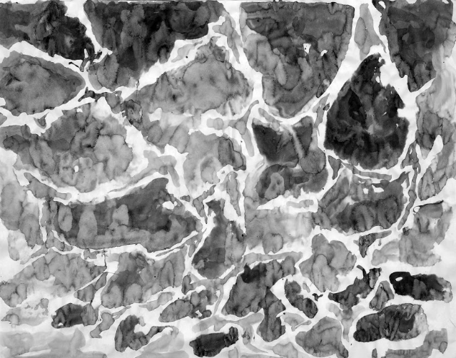 Screen Shot 2019-01-30 at 8.51.09 PM.png