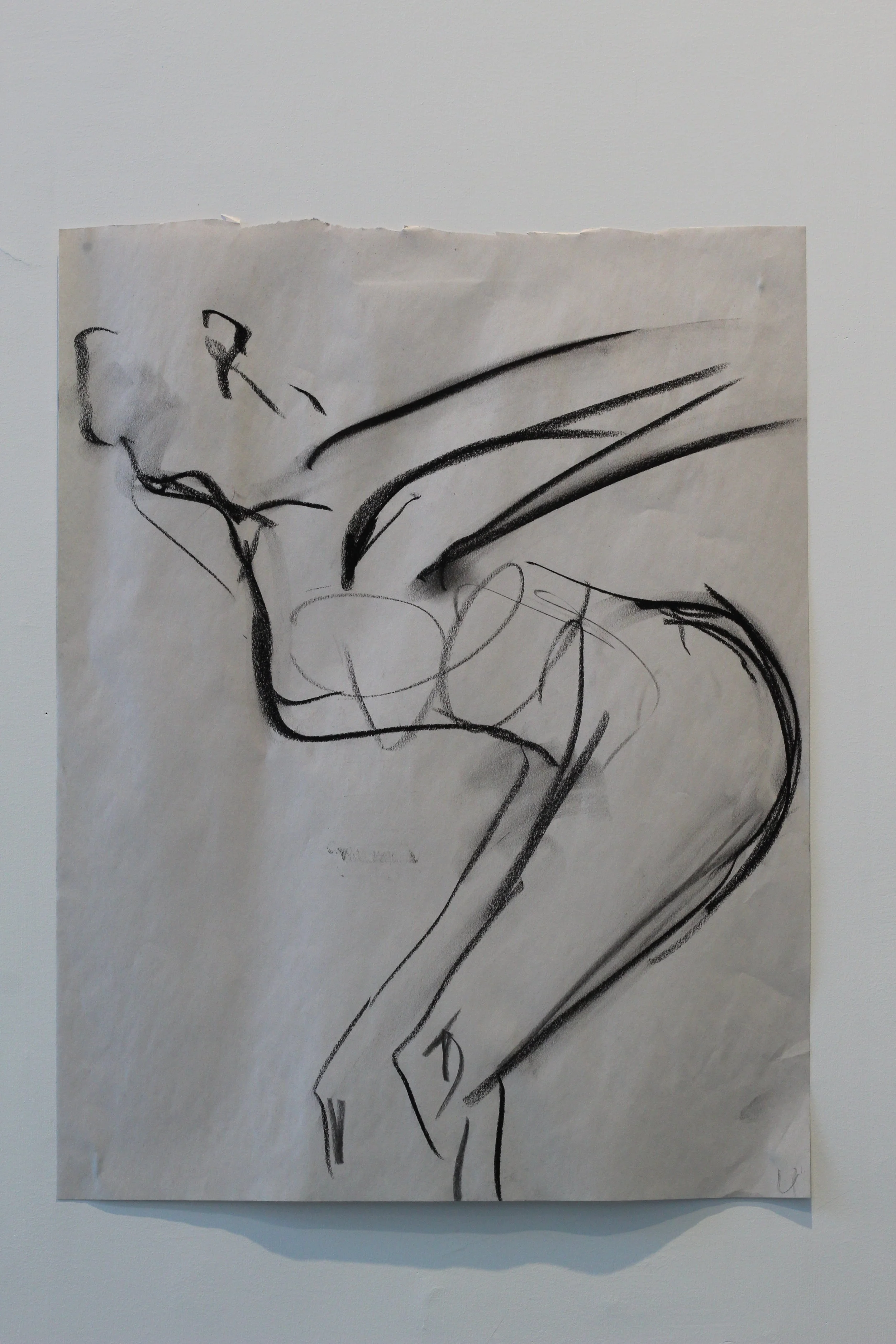 Copy of IMG_6575.JPG