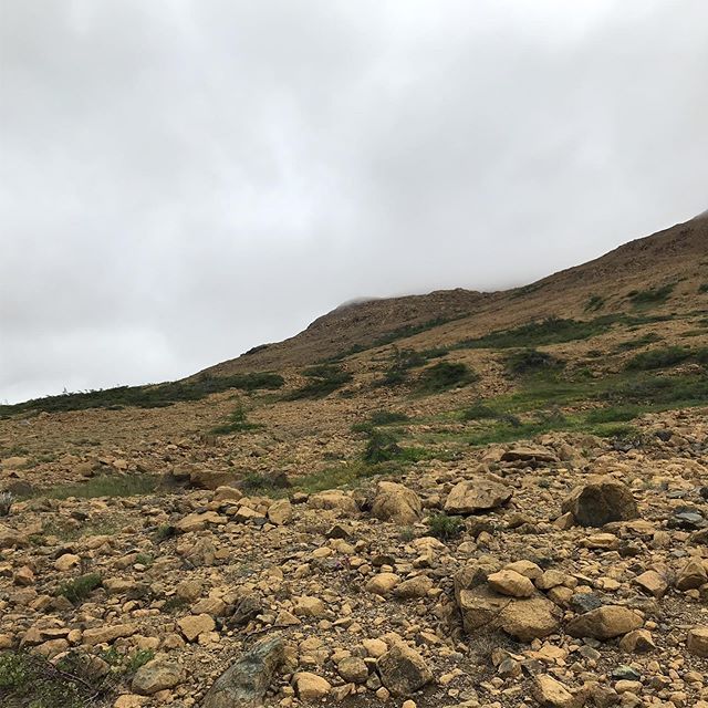 Exciting to be on the Tablelands in Newfoundland.