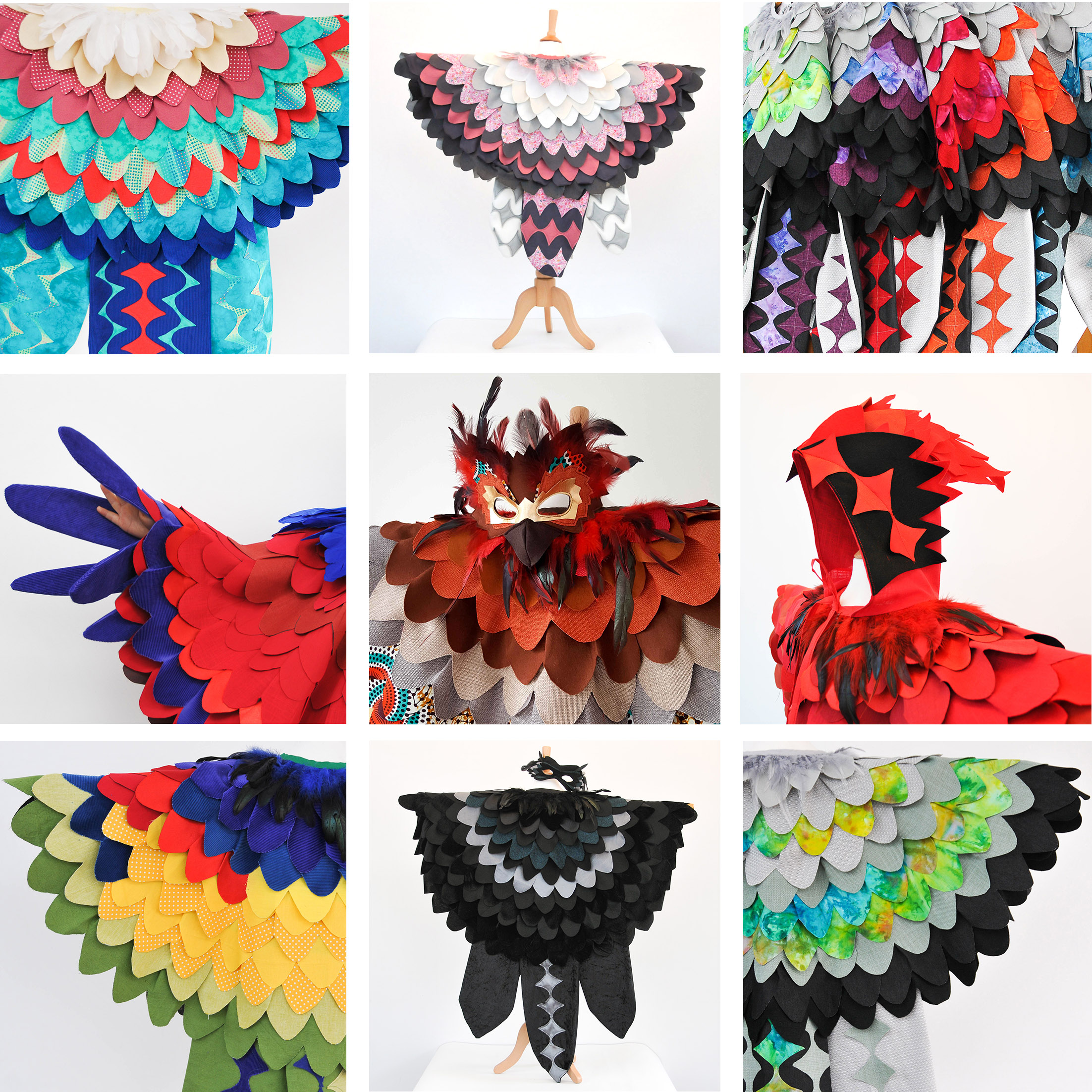 bird picture combo.jpg