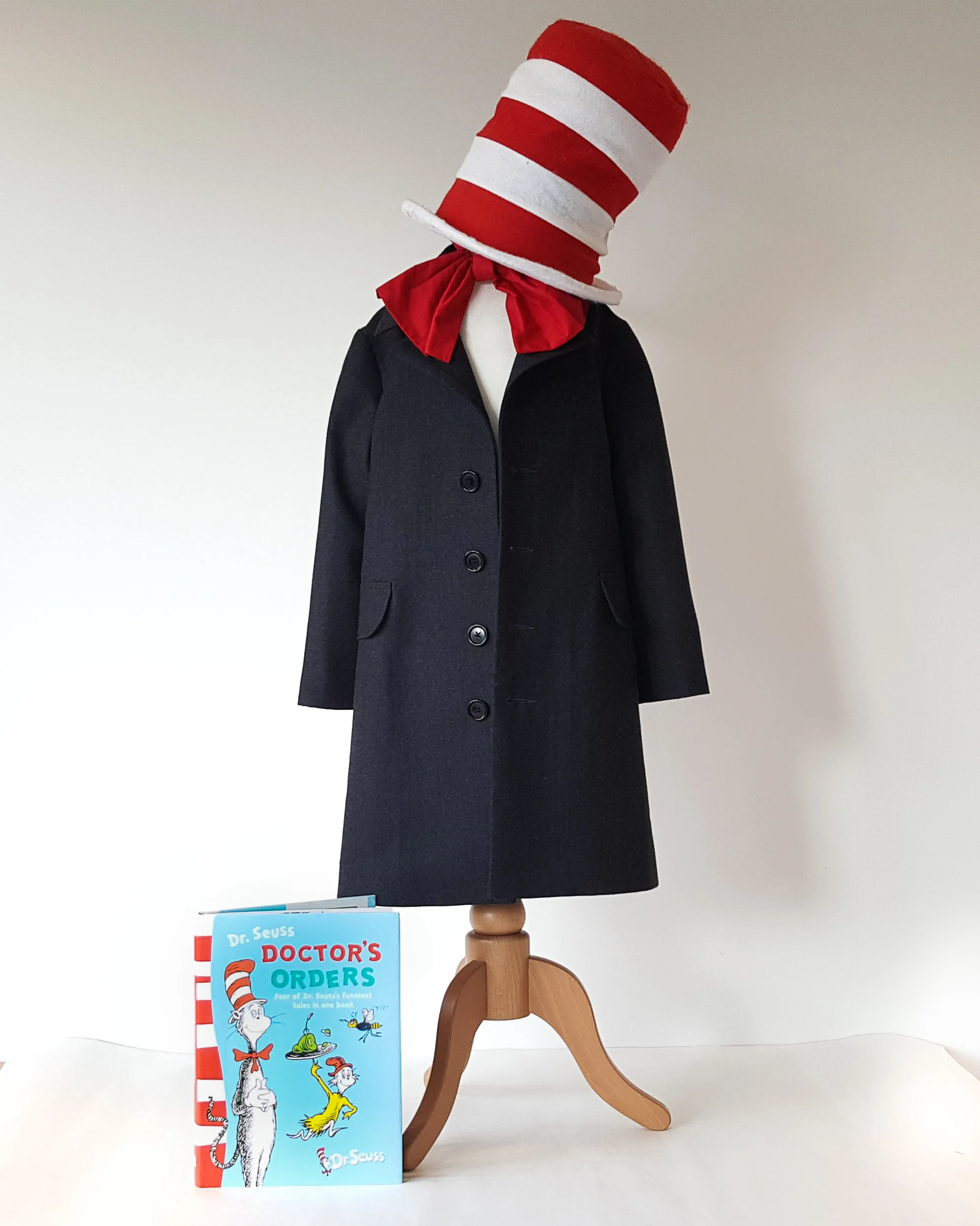 Cat in the Hat-1.jpg