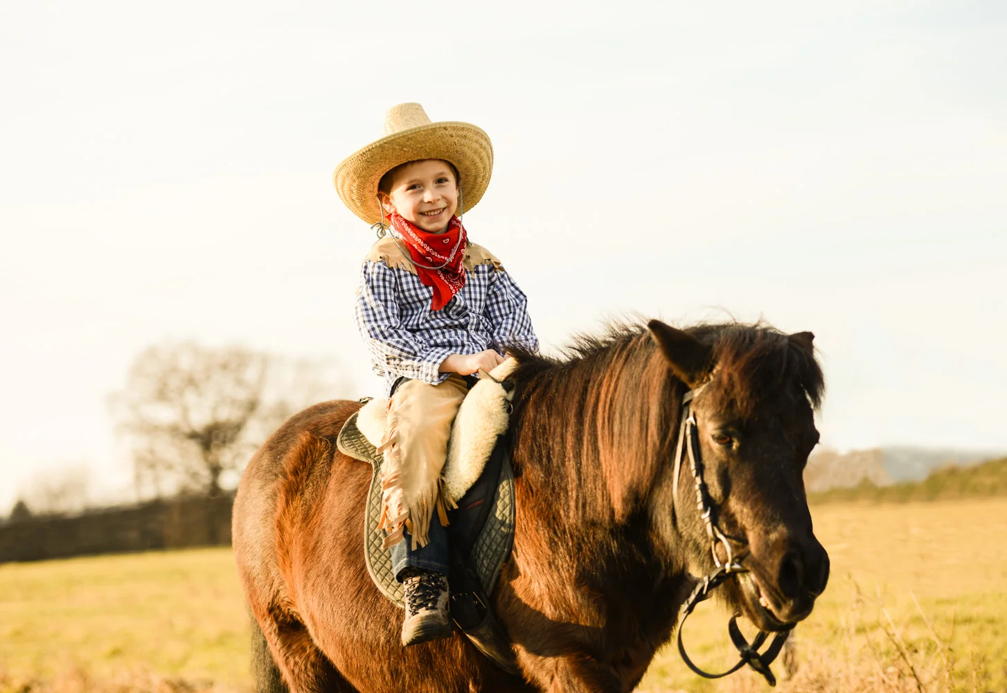 Cowboy.jpg