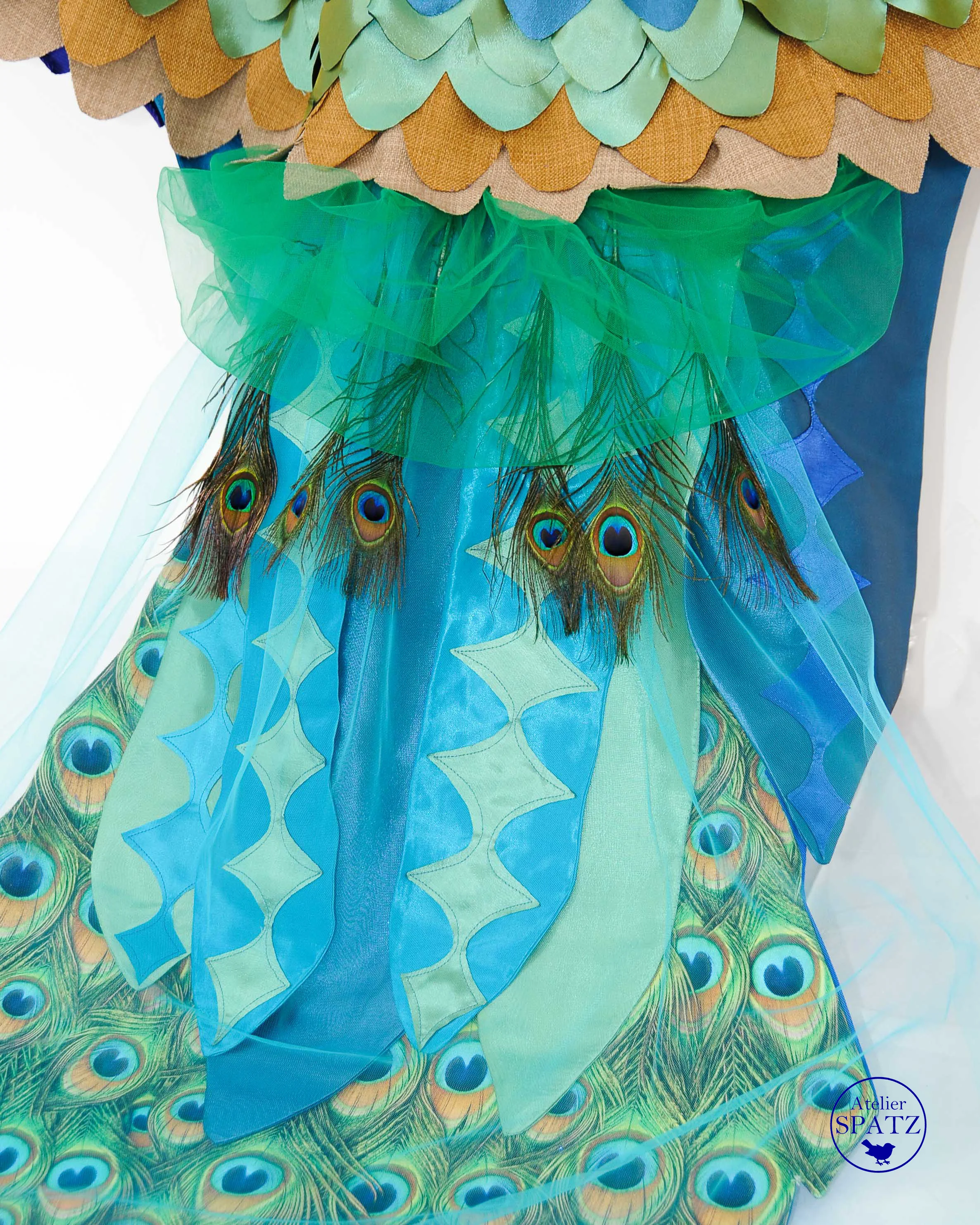 Peacock-5.jpg