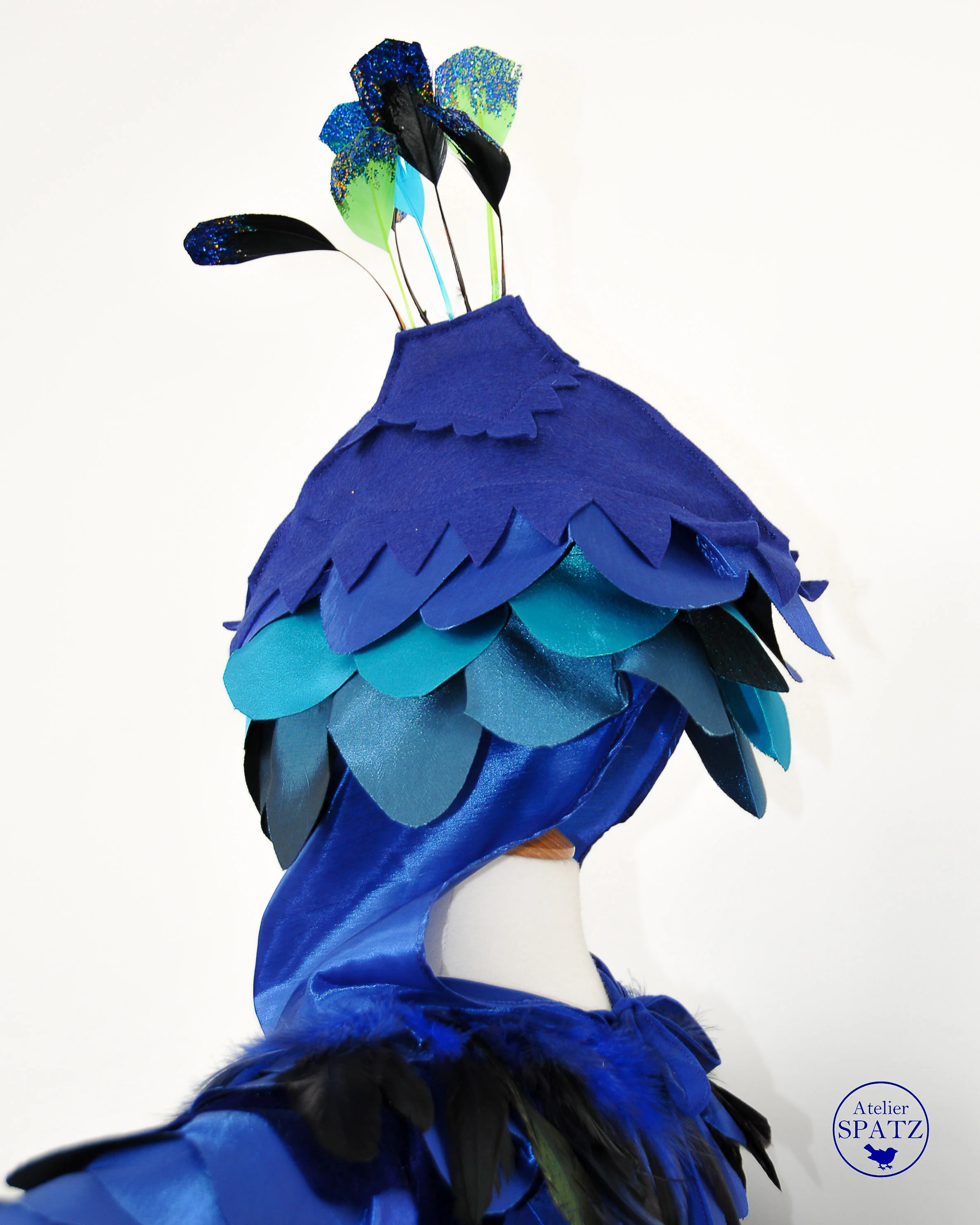 PeacockWEB-2.jpg
