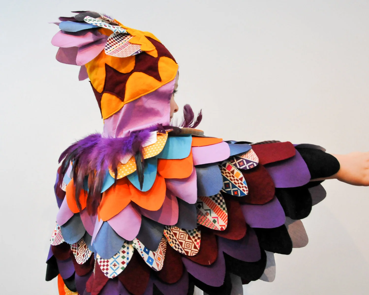 parrot2.jpg