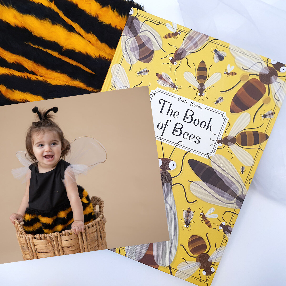 Book of Bees.jpg
