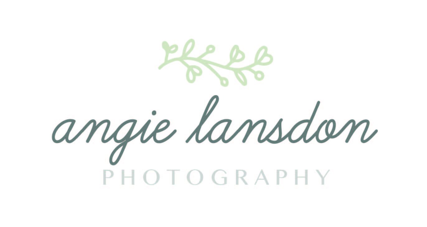 AngieLansdonPhotography_LogoFINAL-01.jpg