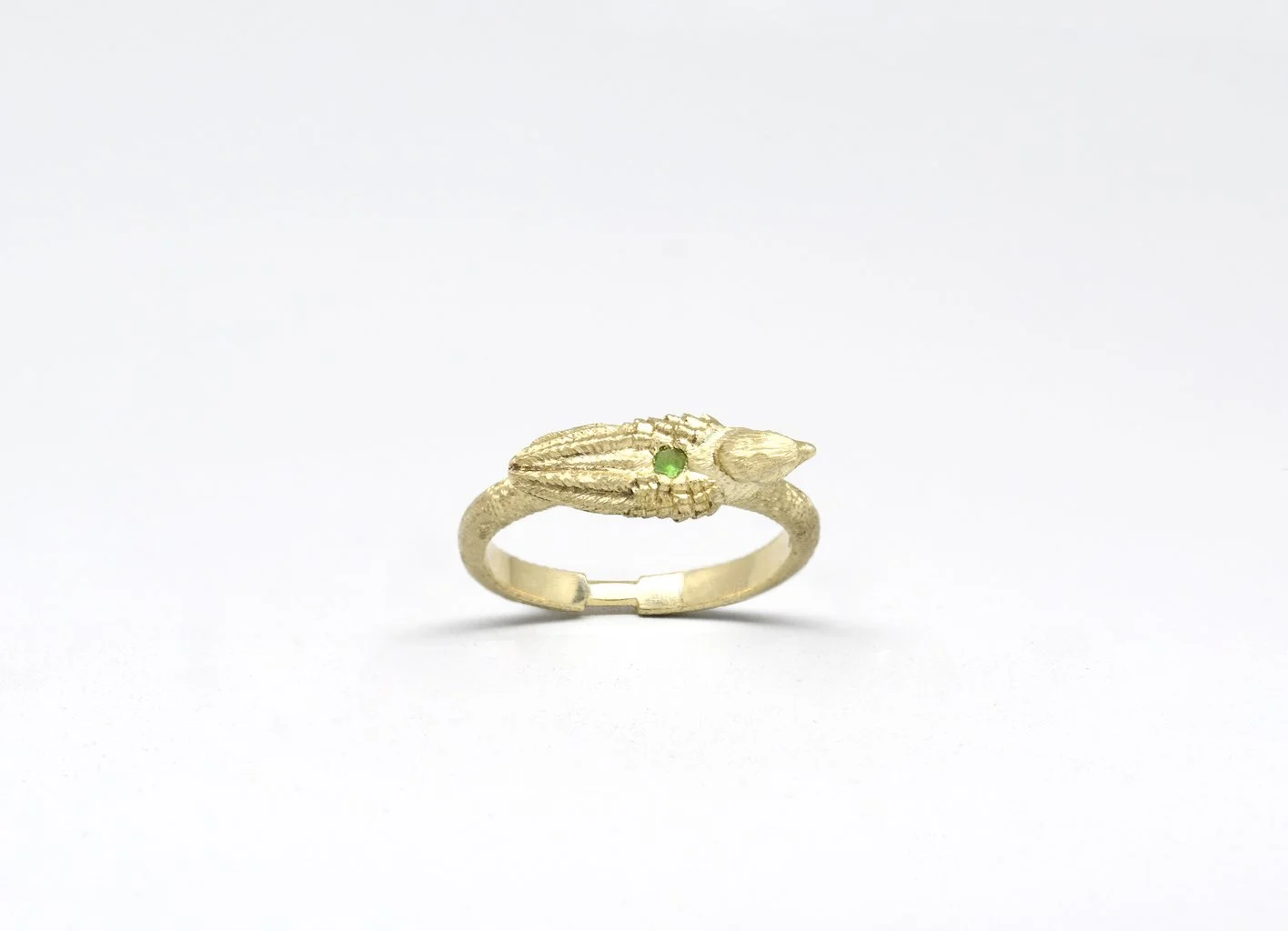 Bird ring by ELIRD 2.jpg