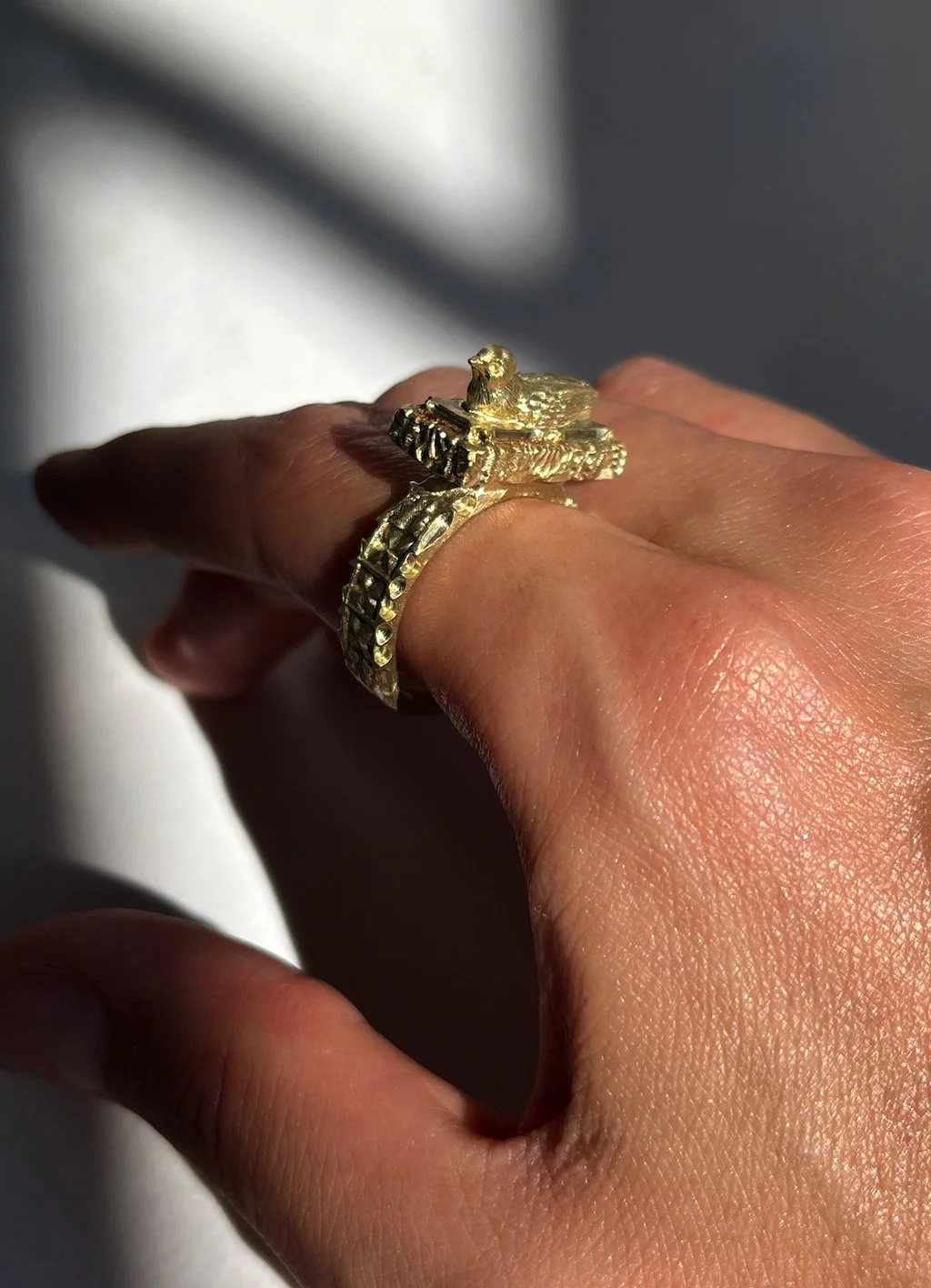 Nestled Reverie ring by ELIRD5.jpg