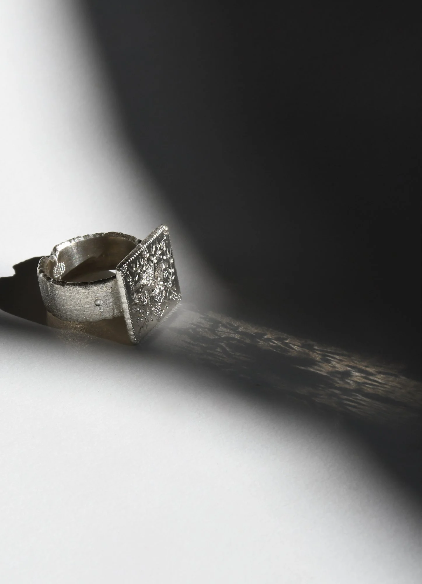 Gallop Of Freedom by ELIRD4.JPG