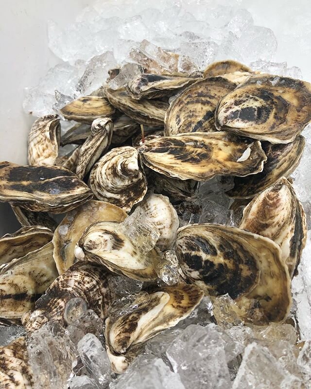 Happy Memorial Day. It&rsquo;s been a blast and a half getting these oysters out to our buddies, kicking off summer 2020. Let us know how many, when and where and we&rsquo;ll get them there! #oysters #westpassageoysters #rhodeisland