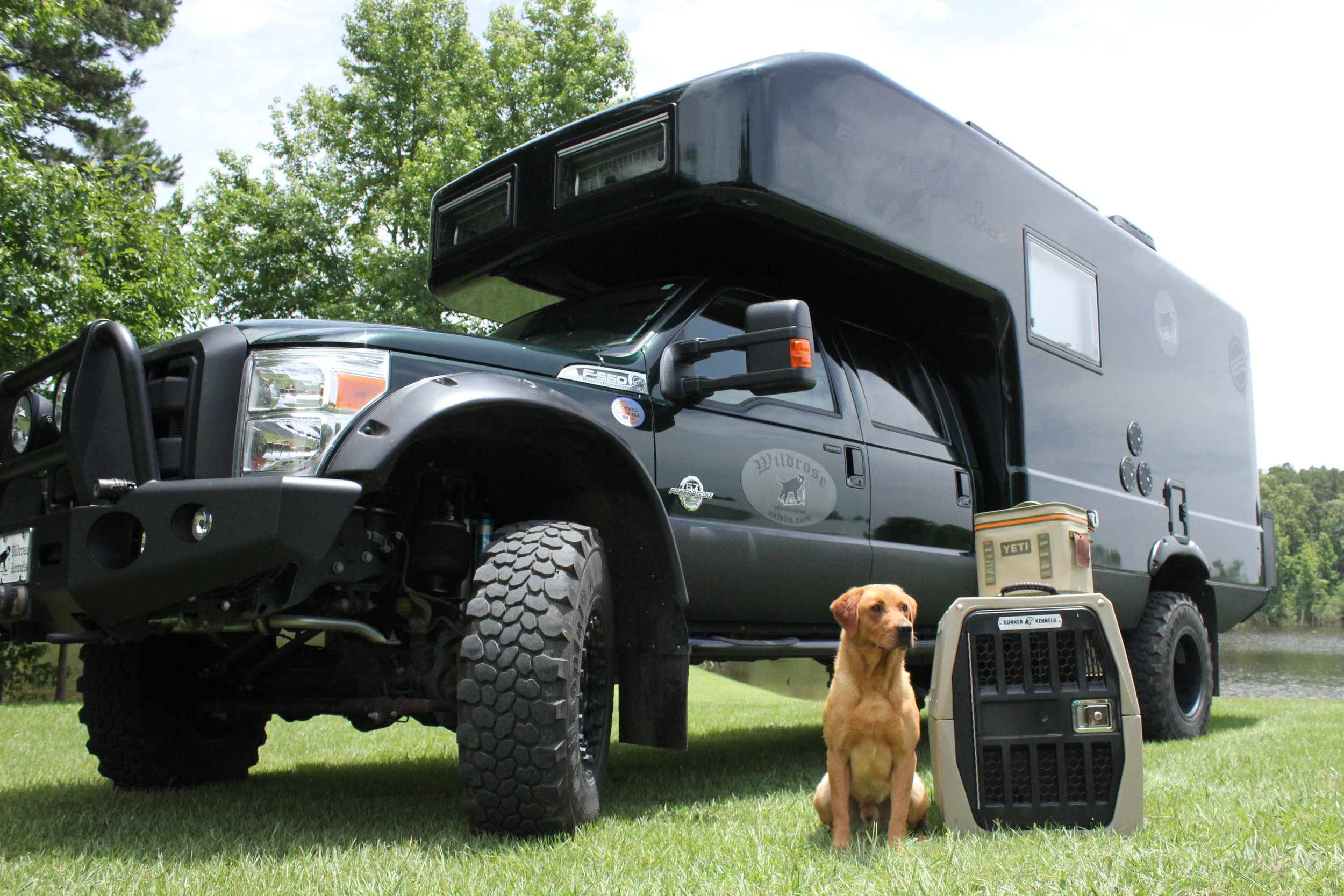 Wildrose Kennels Trainers and Breeders of the Finest British Labrador