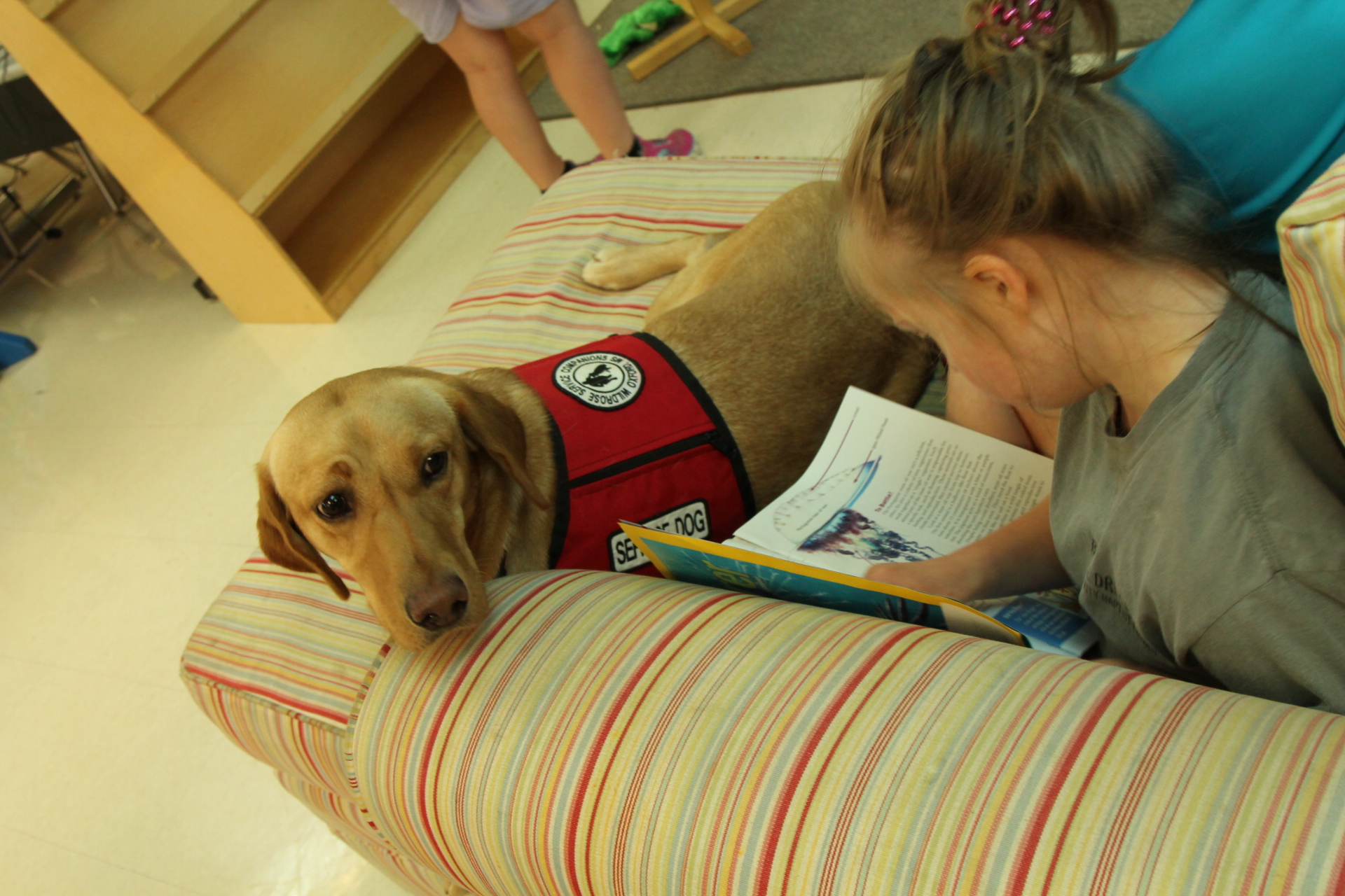 Service Companion — Wildrose Kennels