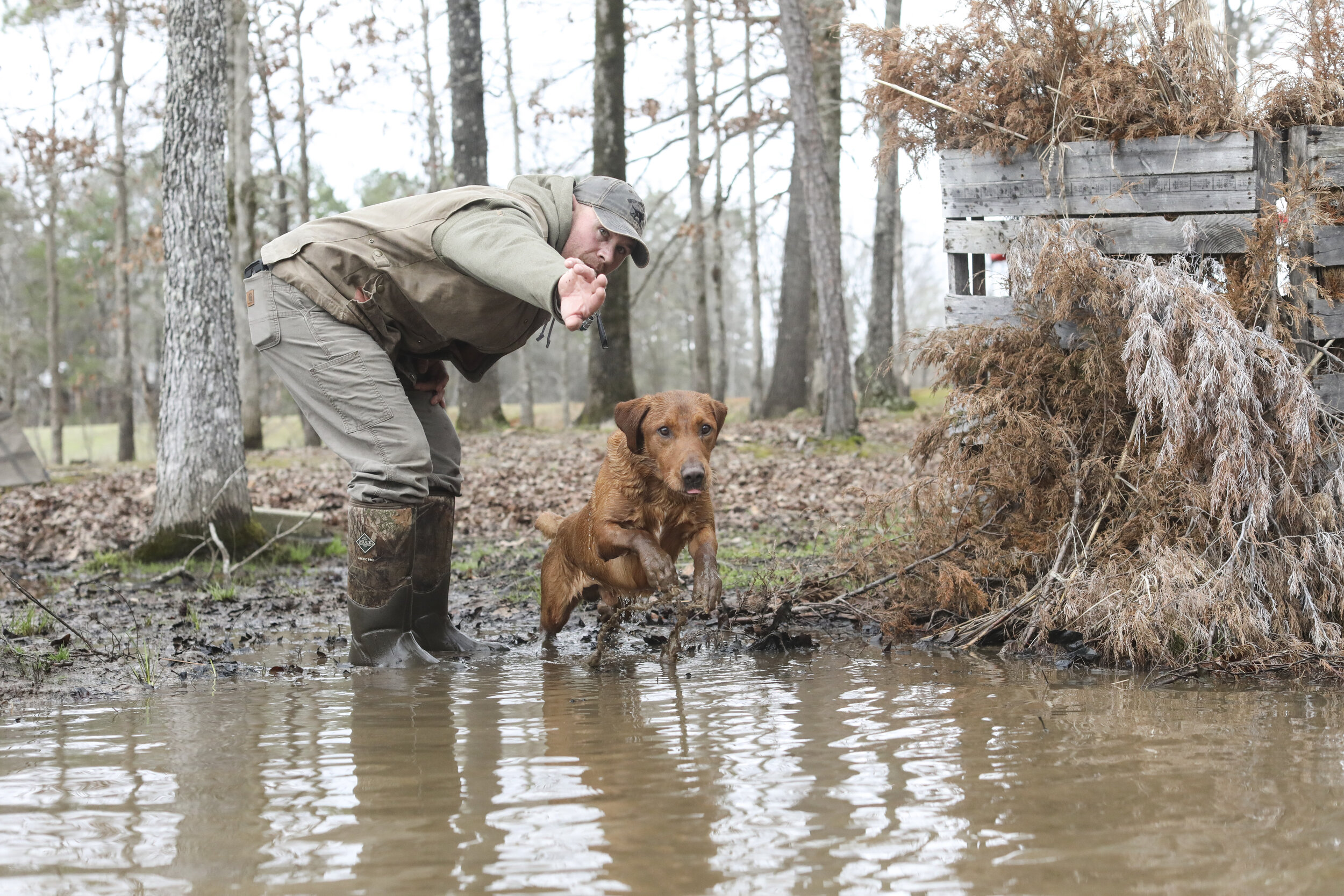 Our Staff — Wildrose Kennels