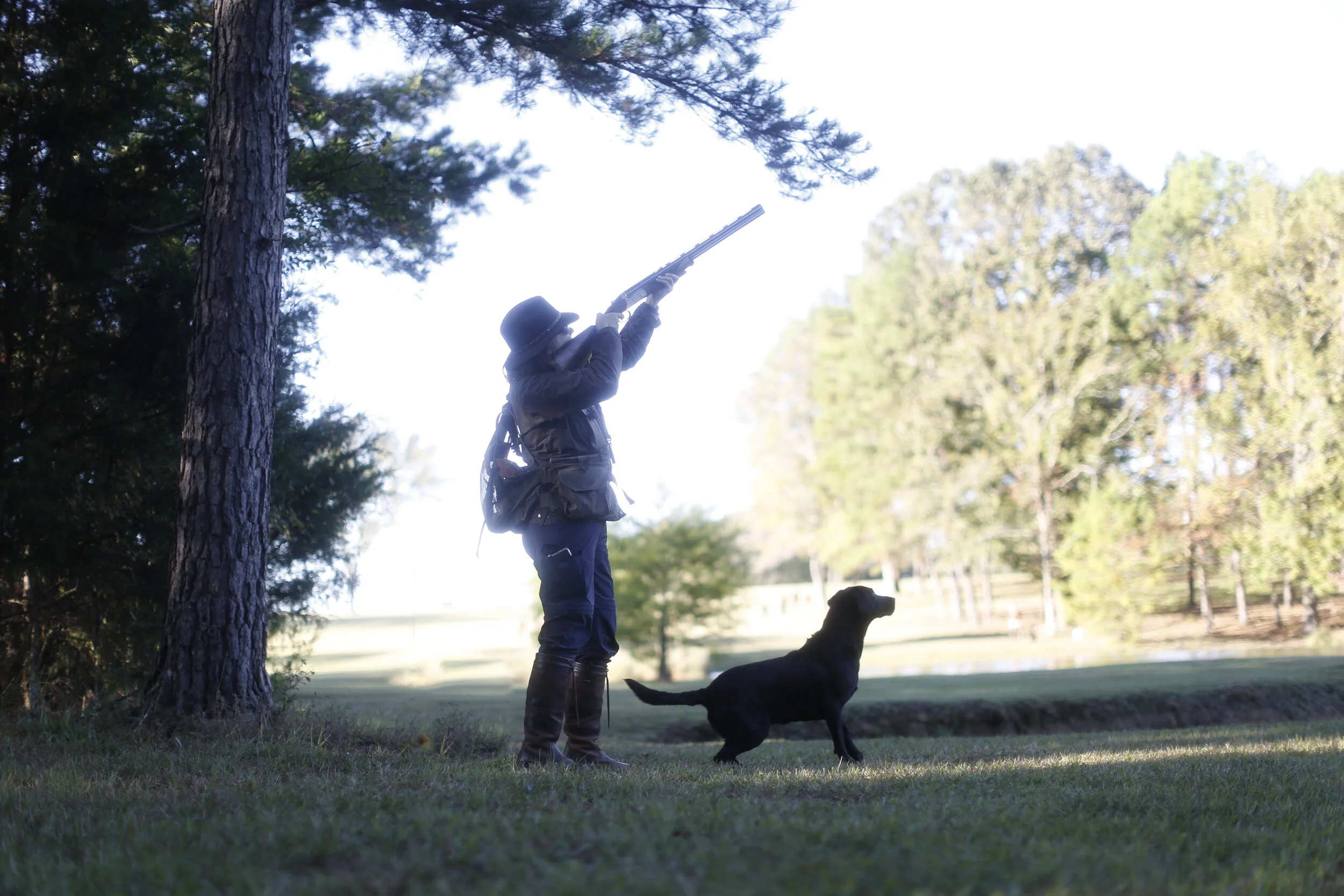 Gus — Wildrose Kennels