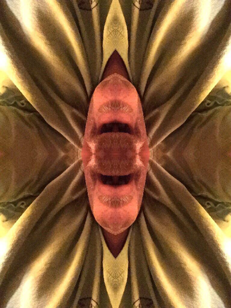14614311_1506570546026414_1124395468_o.jpg