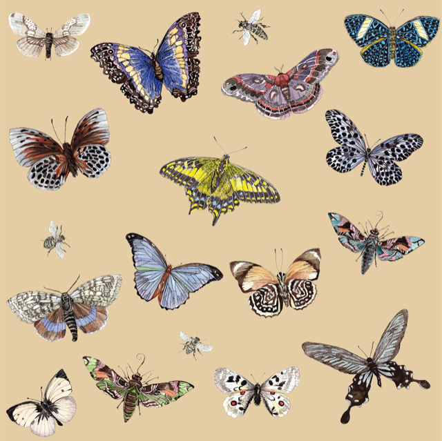 PatternFour.png