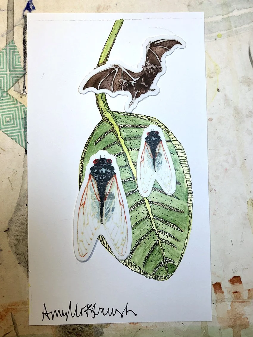Cicadas 2 IMG_6071.jpg