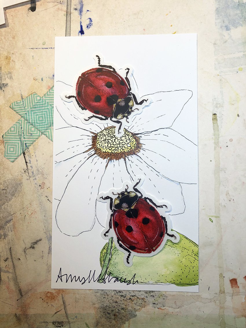 Ladybugs 2 IMG_6075.jpg