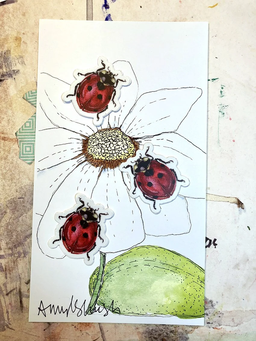 Ladybugs 3 IMG_6075.jpg