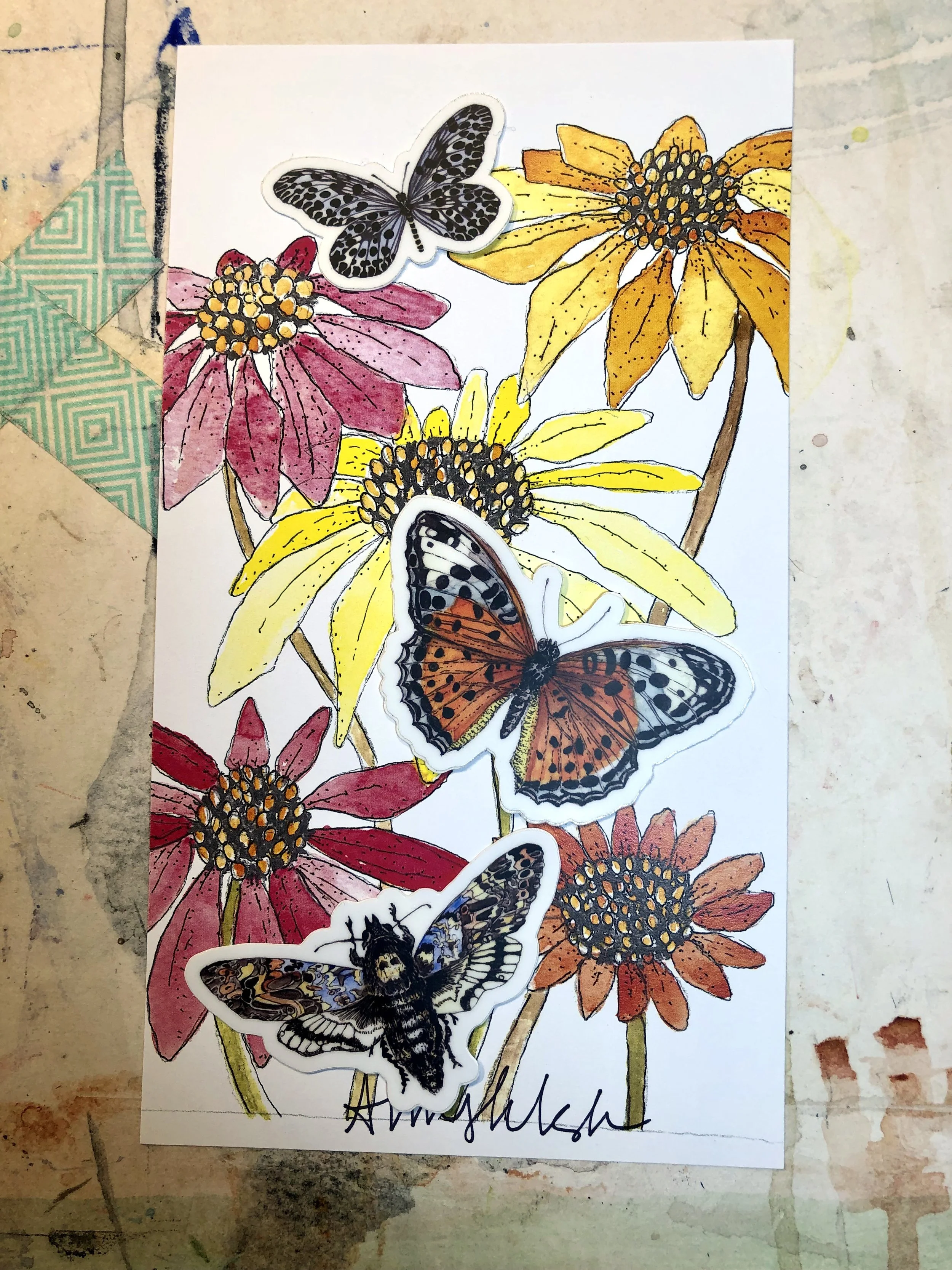 Butterflies 3 IMG_6068.jpg