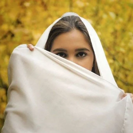 Iran+unveiled+4.jpg