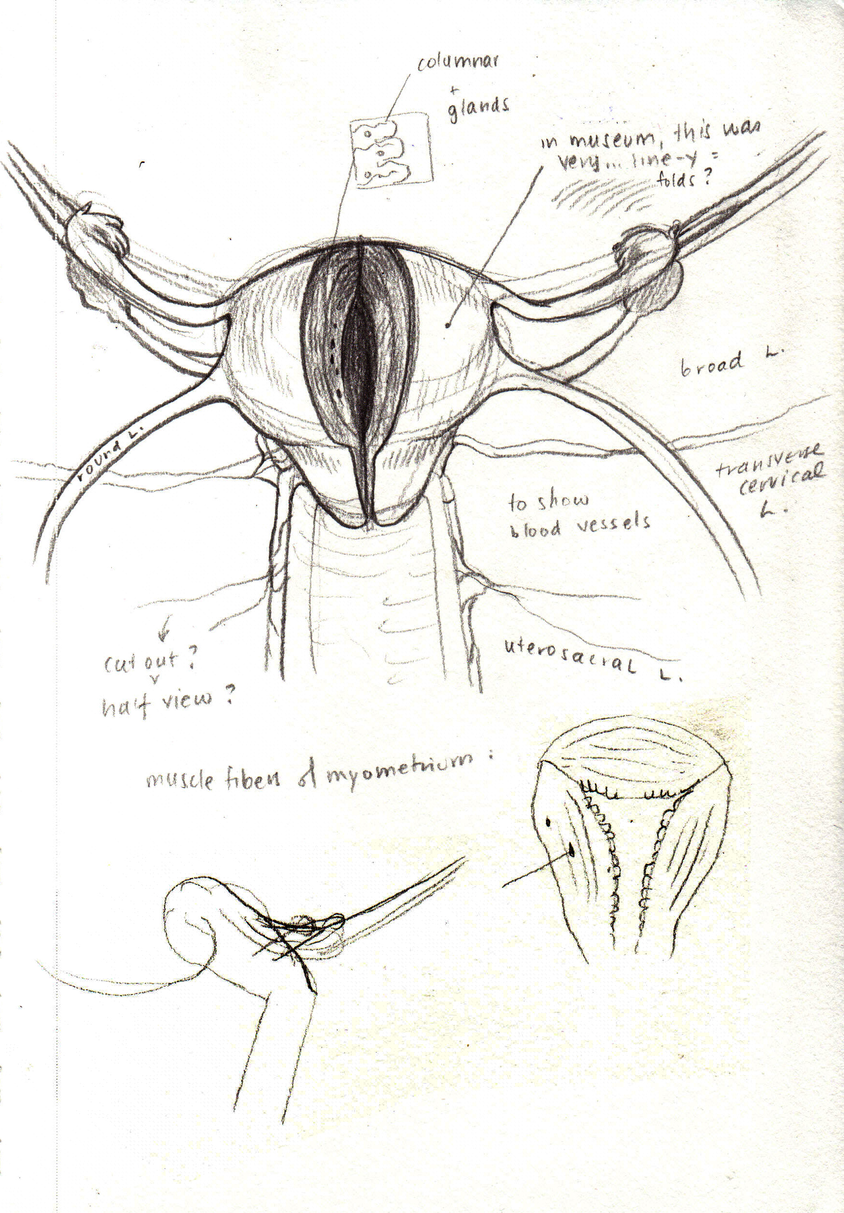 MSC2003_originalSculpt_A_preliminarysketch1.jpg
